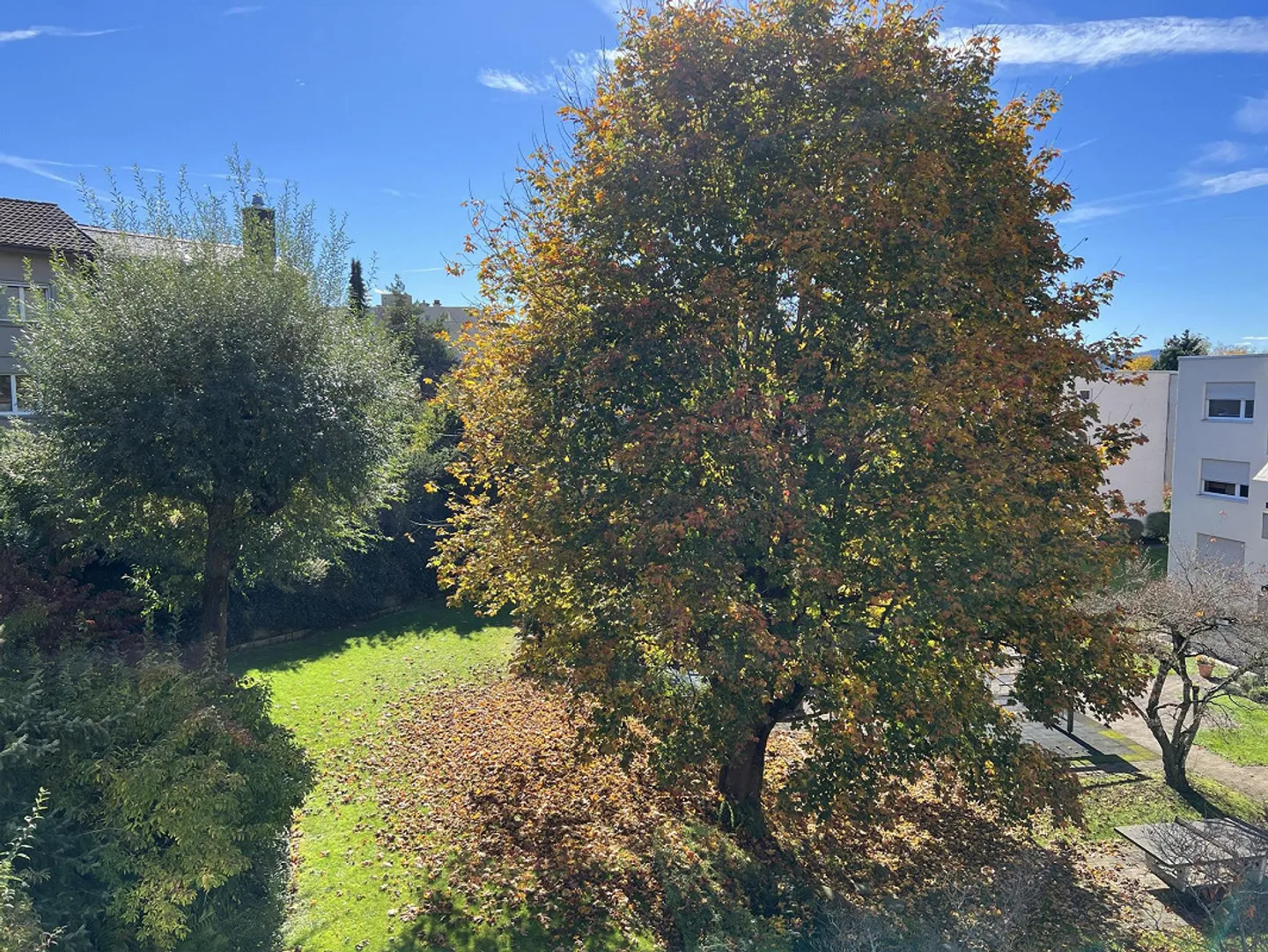 Sunny fully renovated 4.5 room apartment in a quiet location - Photo 2 of 10