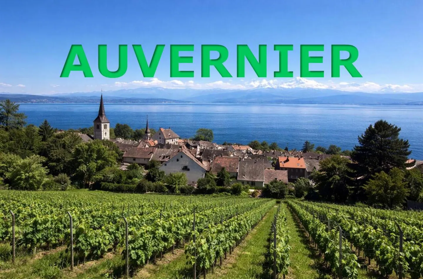 A unique opportunity - Photo 1 of 1