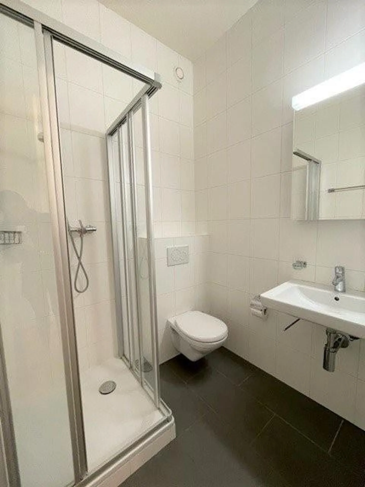 Eaux-Vives: bel appartamento vicino al lago - Foto 4 di 7