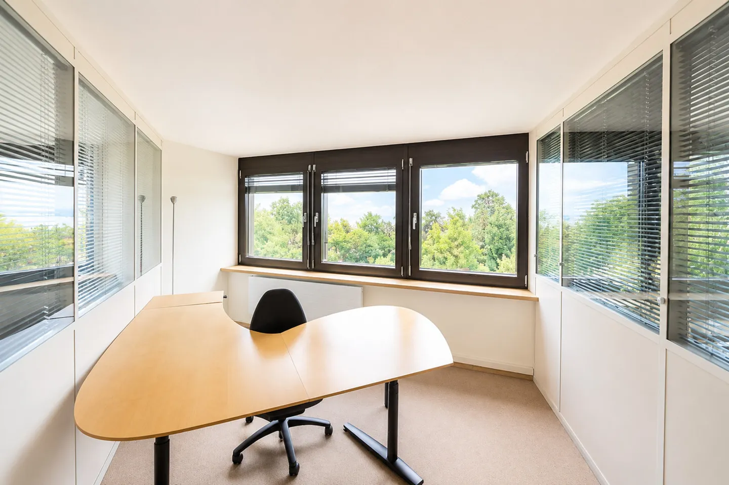 Premium Business Center - Exceptional Offices with Lake View - Photo 3 of 7