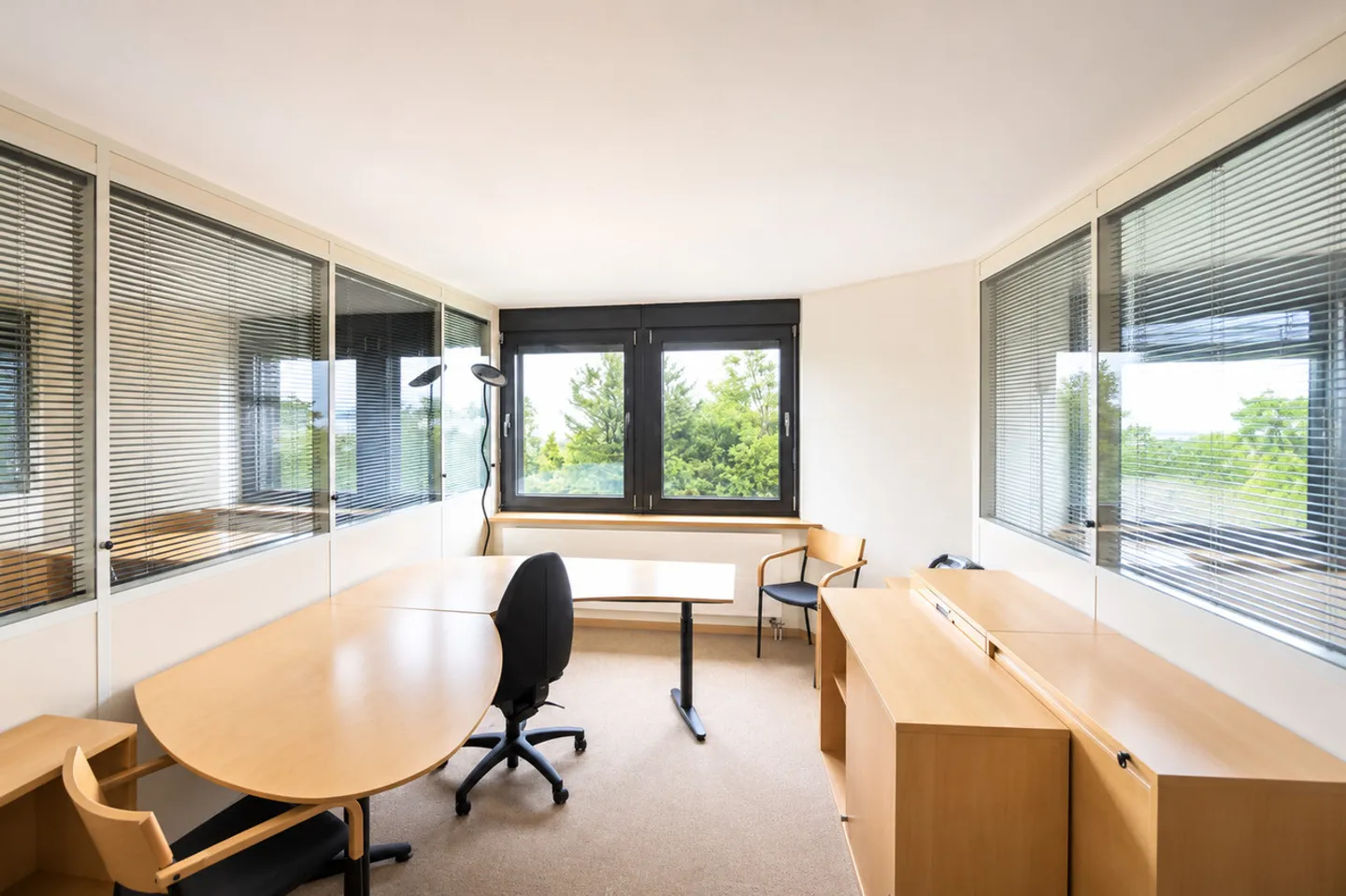 Premium Business Center - Exceptional Offices with Lake View - Photo 6 of 7