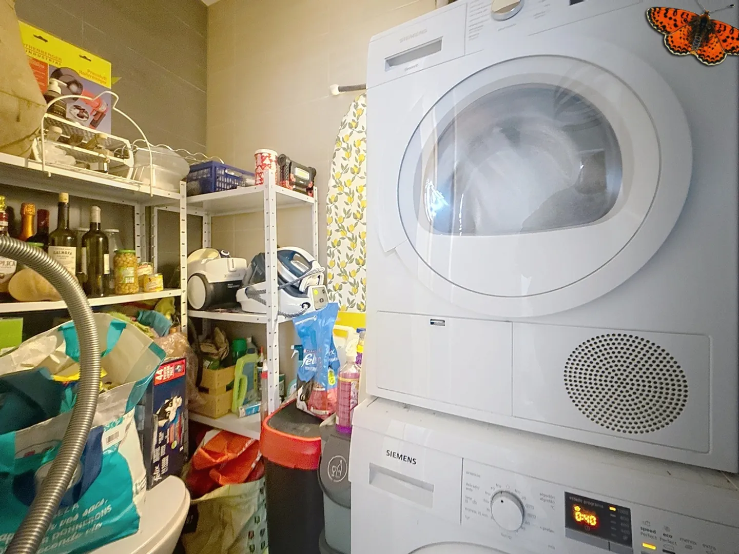 GERÄUMIGE 3 ½ ZIMMER - Mit einer Terrasse - Foto 10 von 10