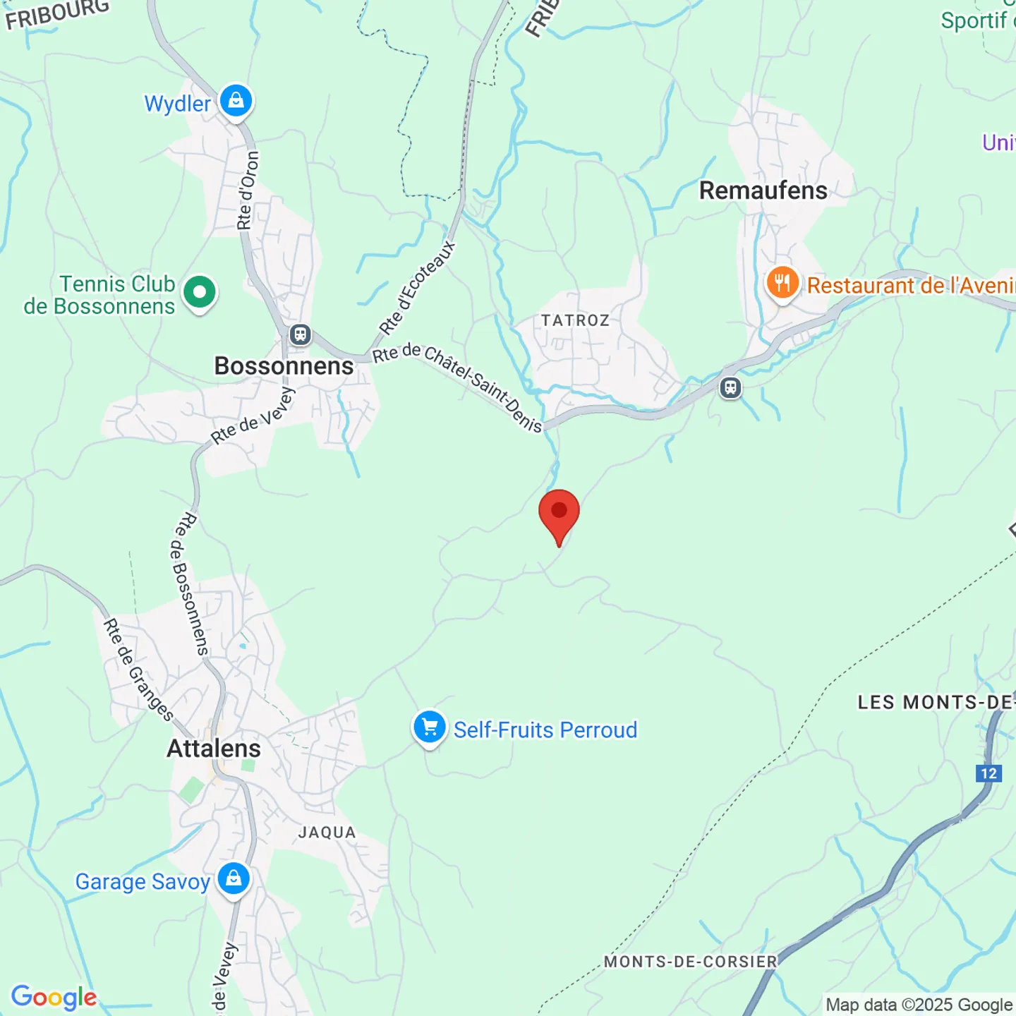 ATTALENS - 4,5-Zimmer-Duplex mit Kamin - Foto 2 von 2