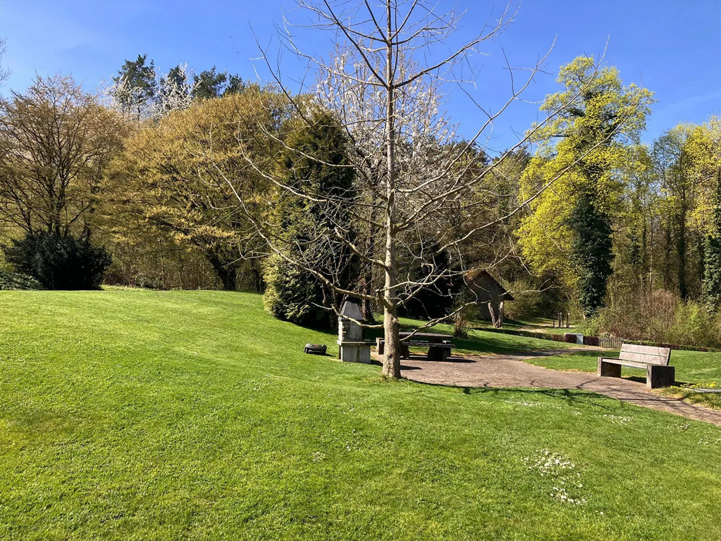 Appartamento giardino ad Andelfingen: appartamento di 2,5 locali ben tenuto con ascensore - Foto 2 di 9