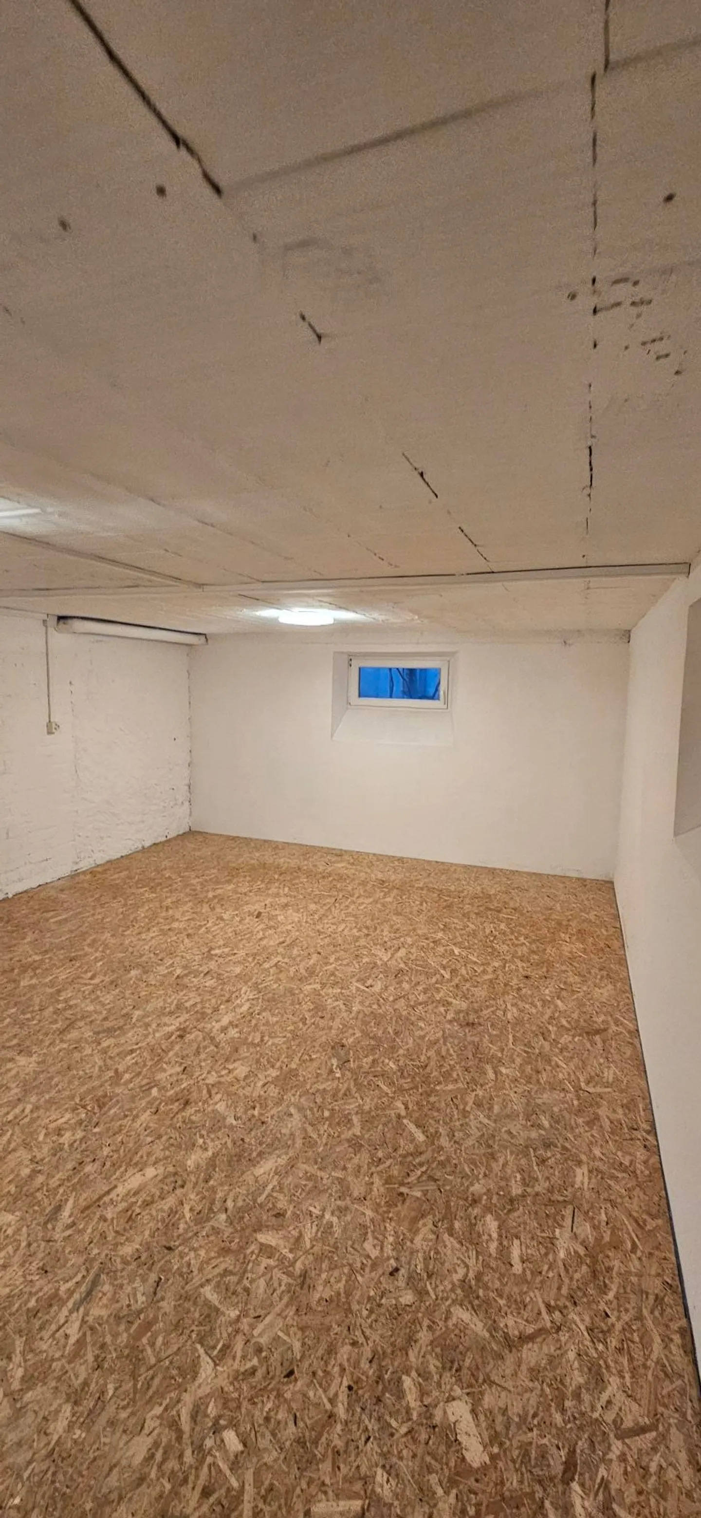 Atelier/Hobbyraum in Altdorf - Foto 1 von 3