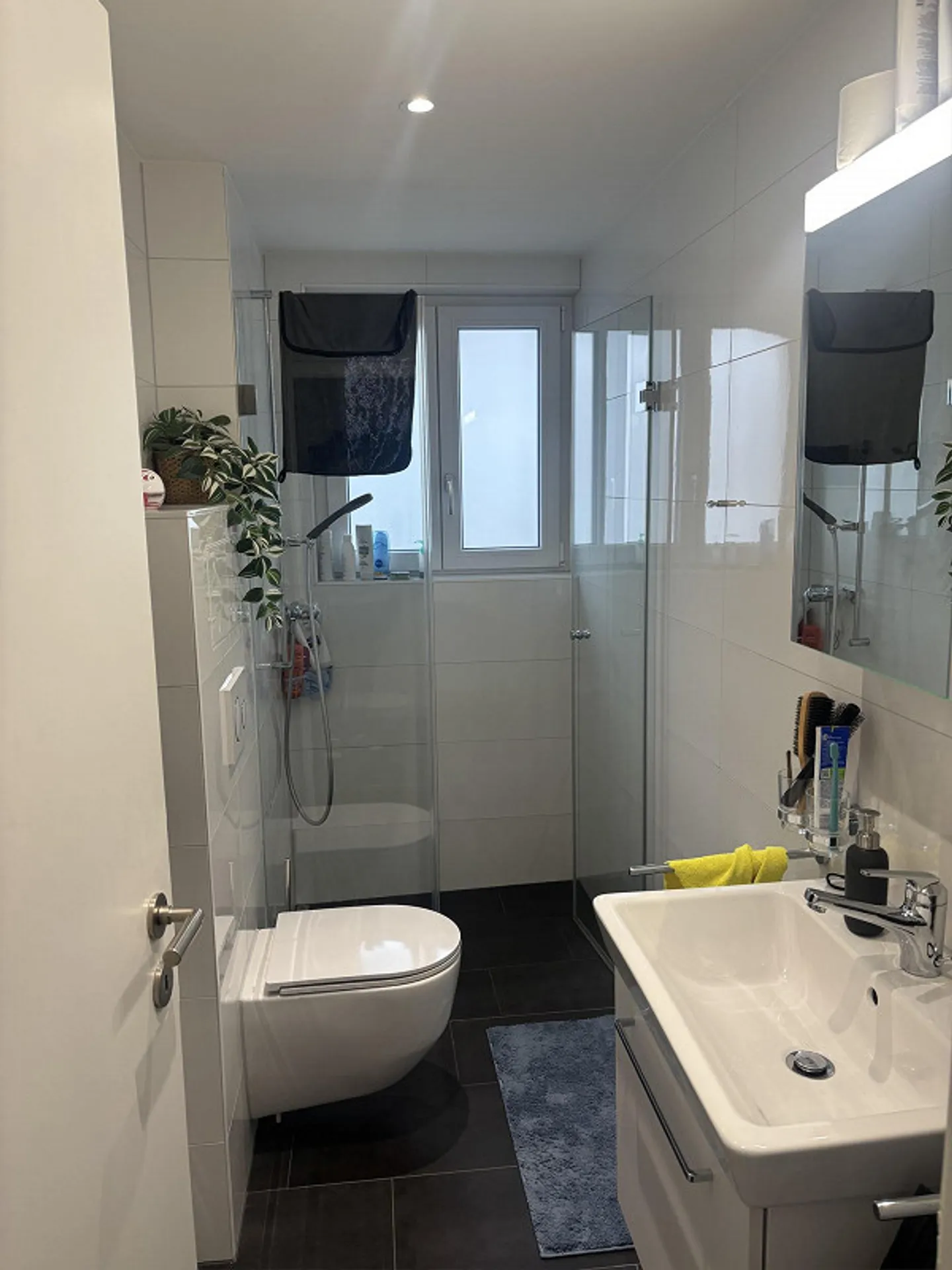 Cercasi subentrante - appartamento tranquillo a Muttenz - Foto 8 di 12