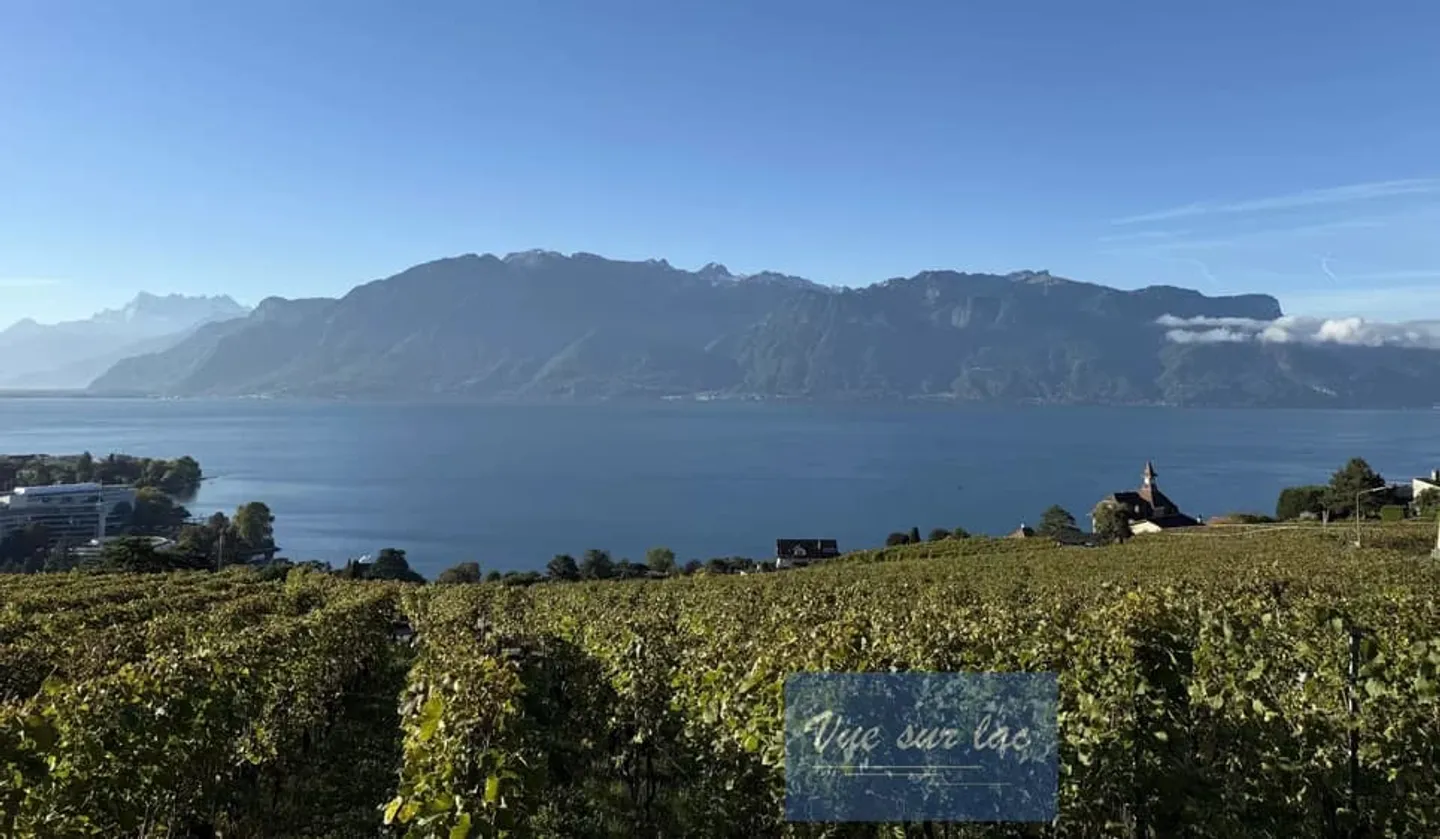 APPARTAMENTO DI LUSSO CON VISTA IMPAREGGIABILE SUL LAGO - Foto 1 di 13