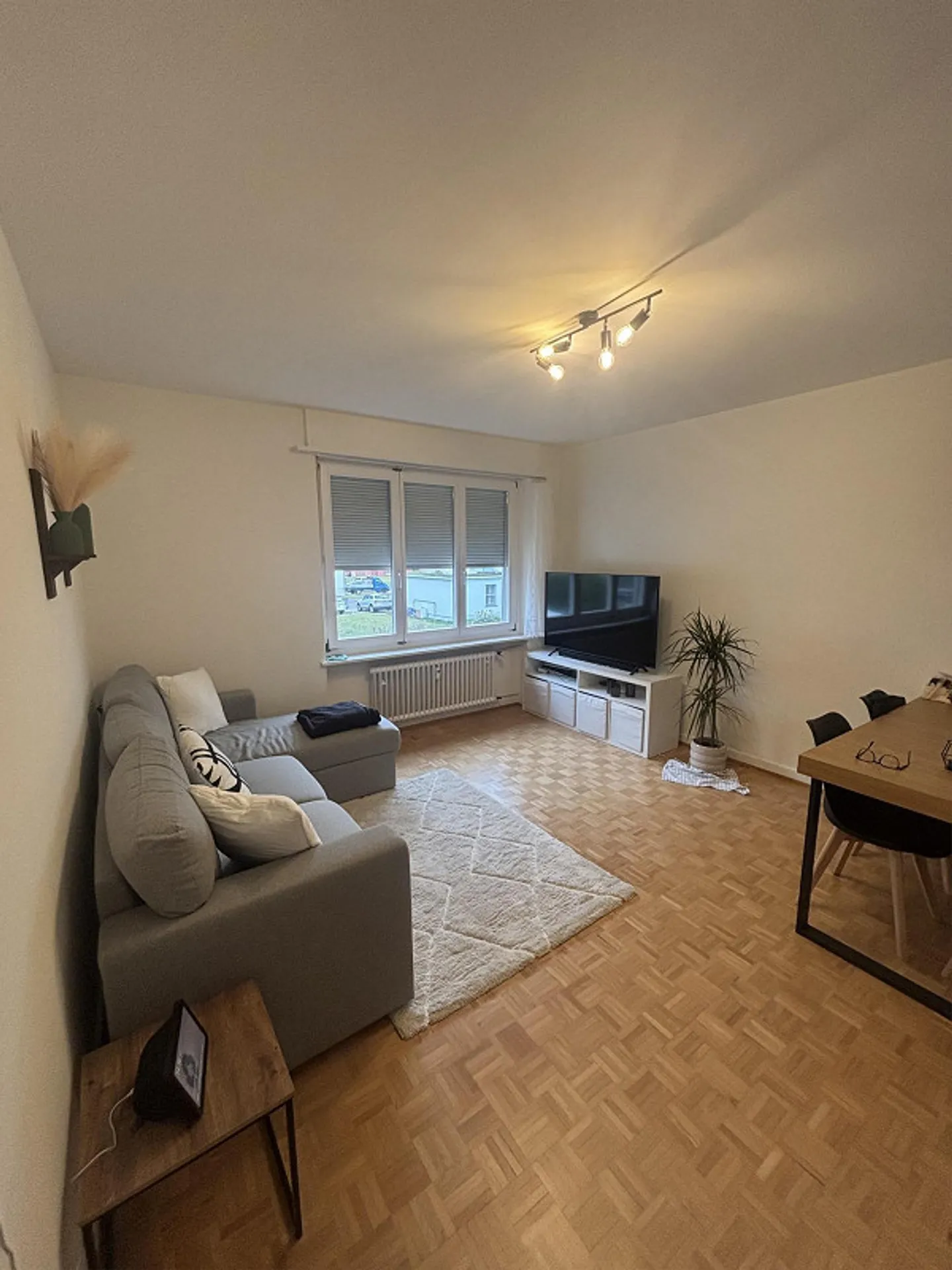 Cercasi subentrante - appartamento tranquillo a Muttenz - Foto 1 di 12