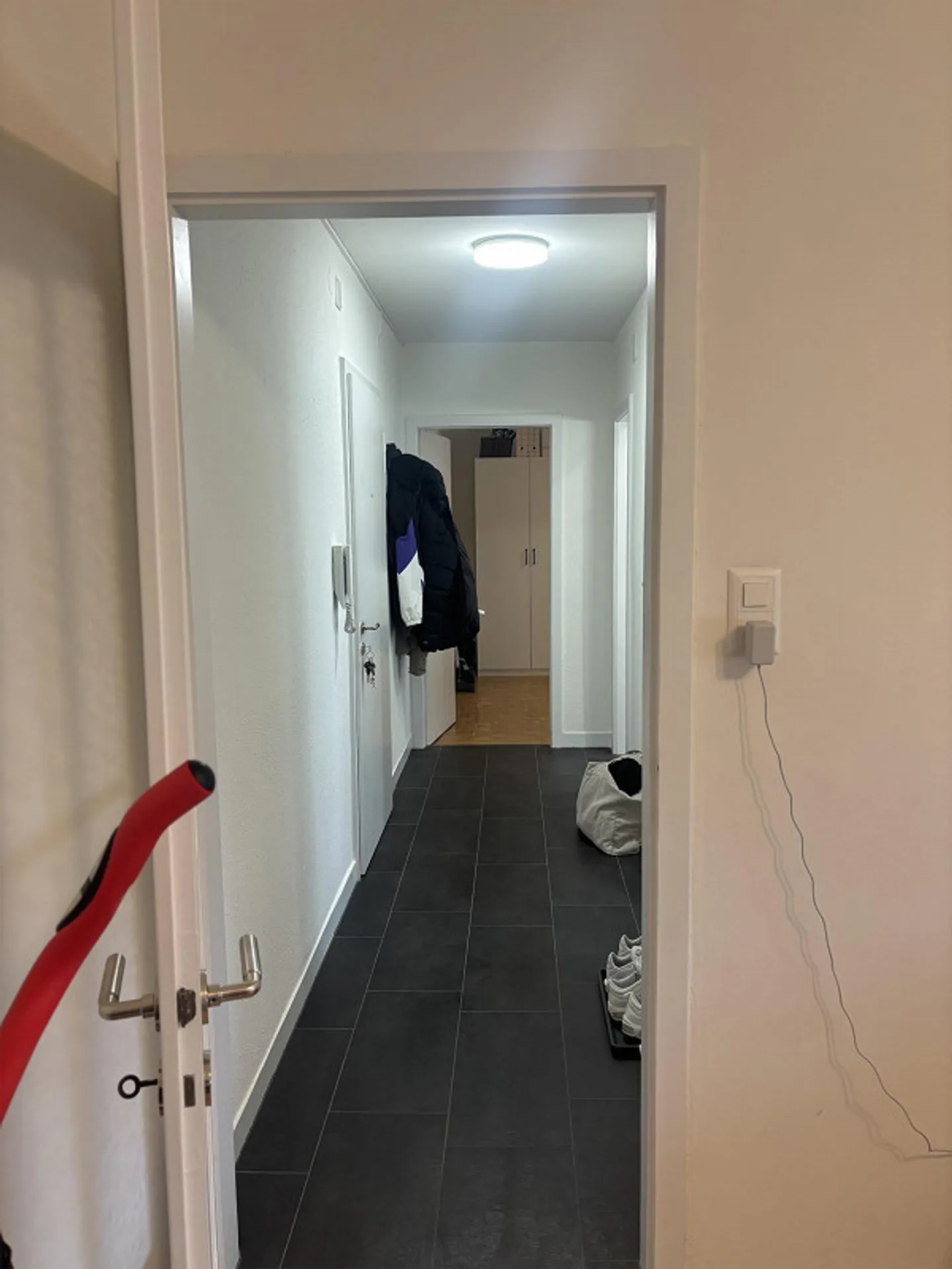 Cercasi subentrante - appartamento tranquillo a Muttenz - Foto 4 di 12