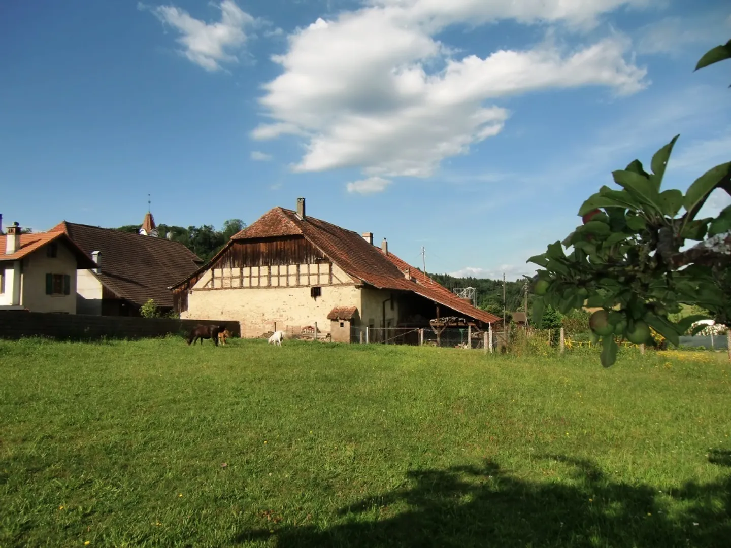 Bauernhof - Foto 2 von 9