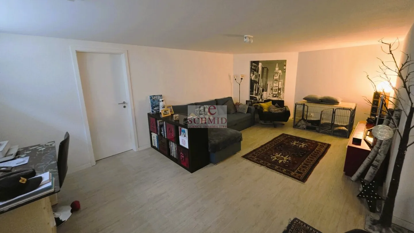 Modern Townhouse in Meyrin - Photo 11 of 11