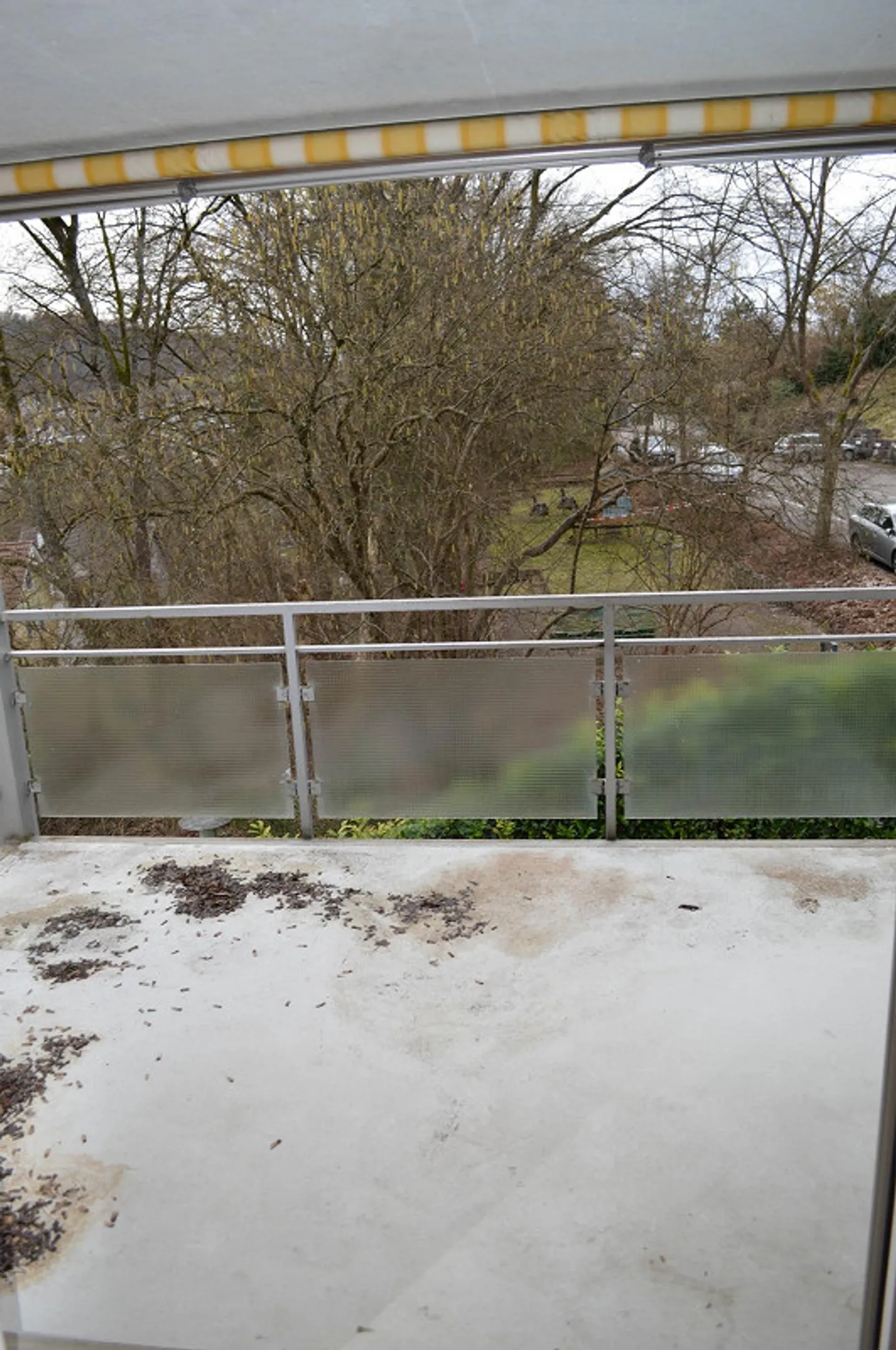 Geräumige 2.5-Zimmerwohnung - Foto 8 von 10