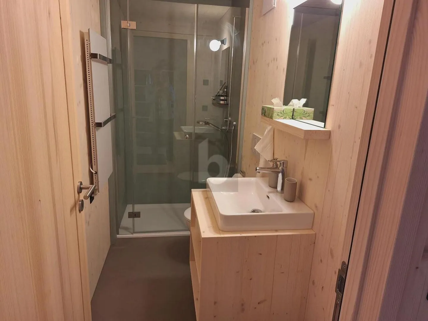 Modern Apartment in Rigi Kaltbad - Photo 5 of 6