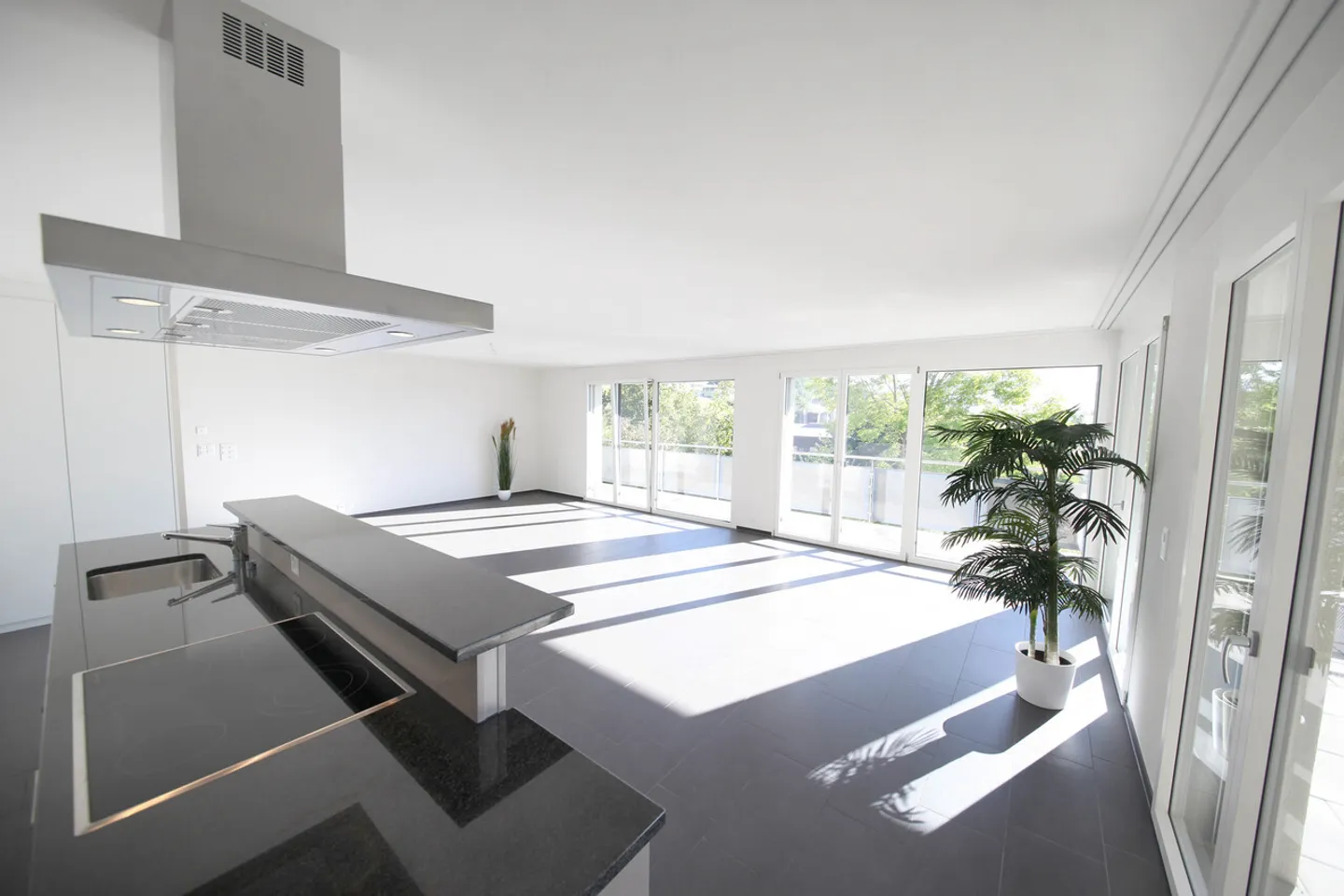 Large, larger - Linth Escher! - Photo 3 of 6