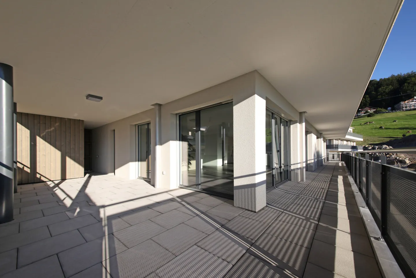 Large, larger - Linth Escher! - Photo 1 of 6