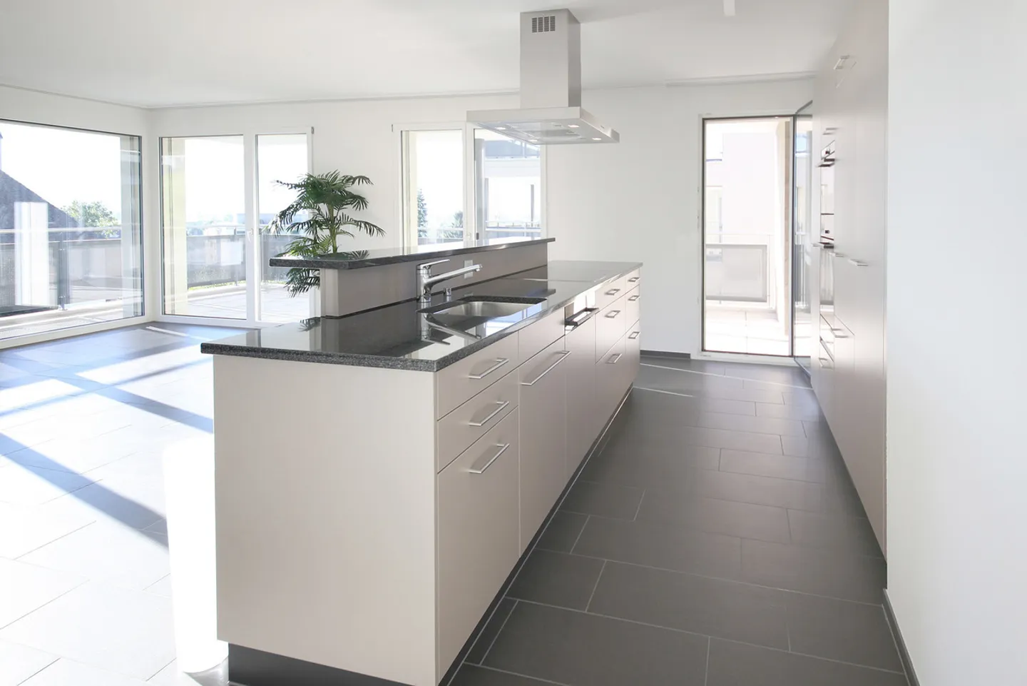 Large, larger - Linth Escher! - Photo 2 of 6