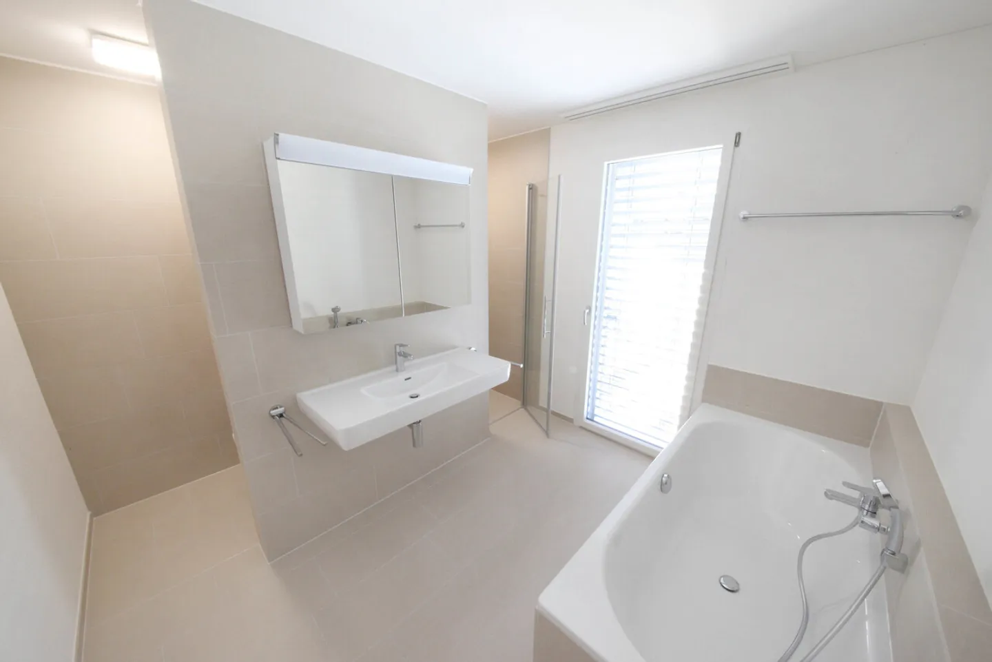 Large, larger - Linth Escher! - Photo 5 of 6