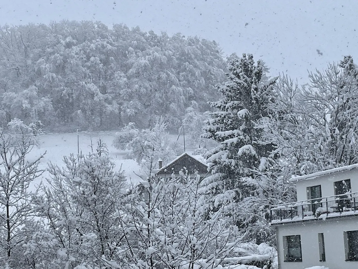 Grosszügige Dachwohnung mit Seeblick - Foto 8 von 11