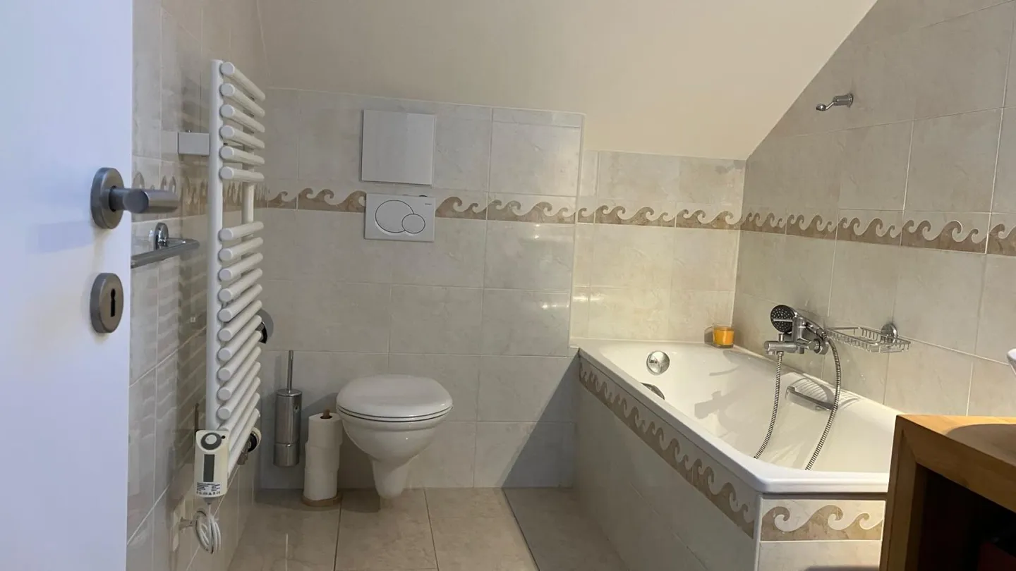 Attic with mezzanine and panoramic view of the lake and mountains! - Photo 18 of 20