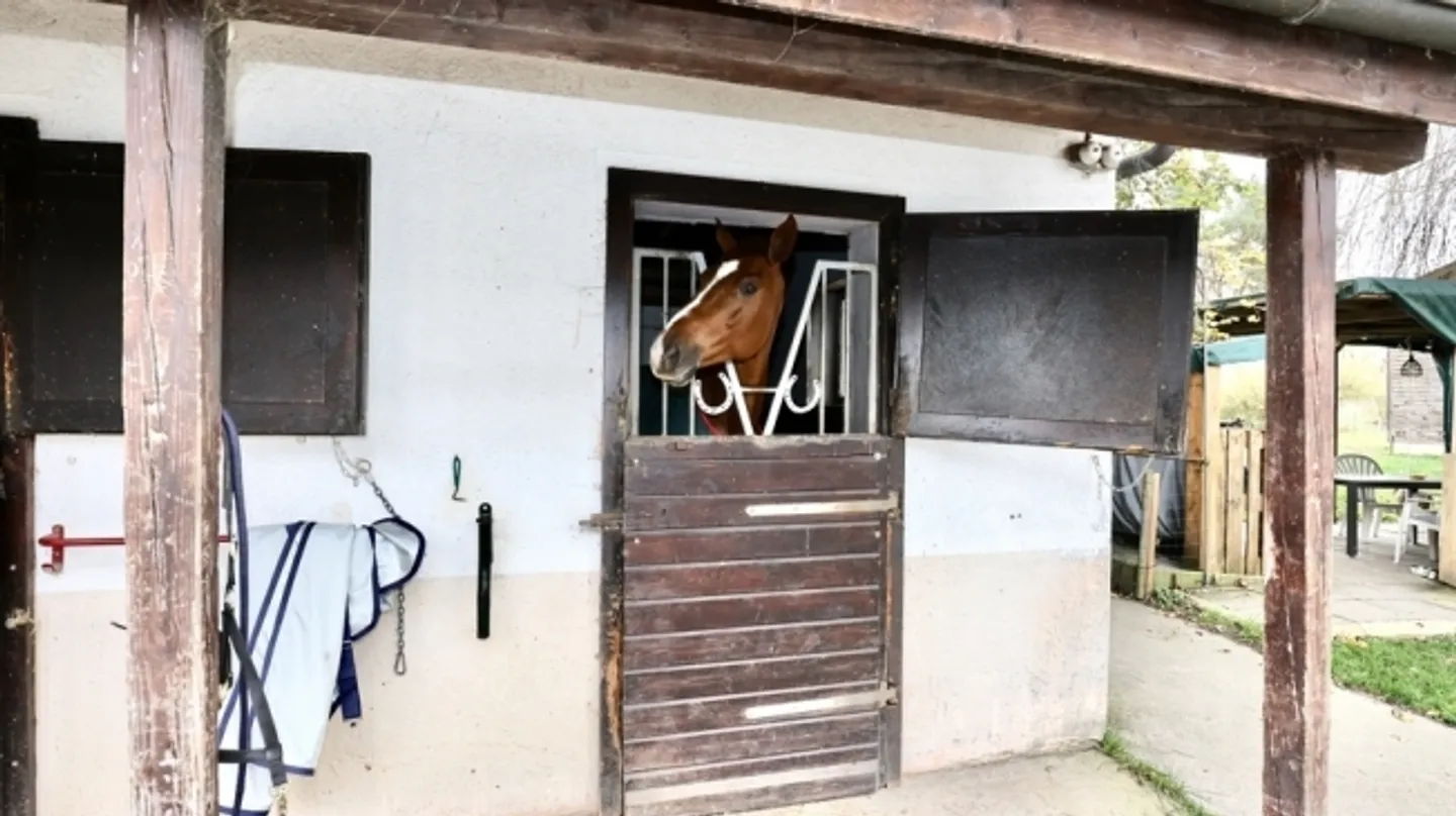 Equestrian estate with hotel-restaurant and staff apartment - Photo 15 of 18