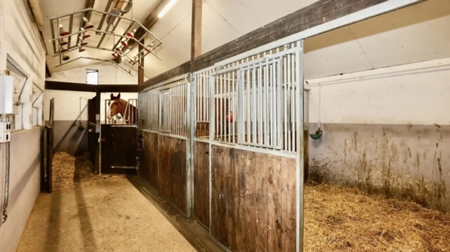 Equestrian estate with hotel-restaurant and staff apartment - Photo 16 of 18