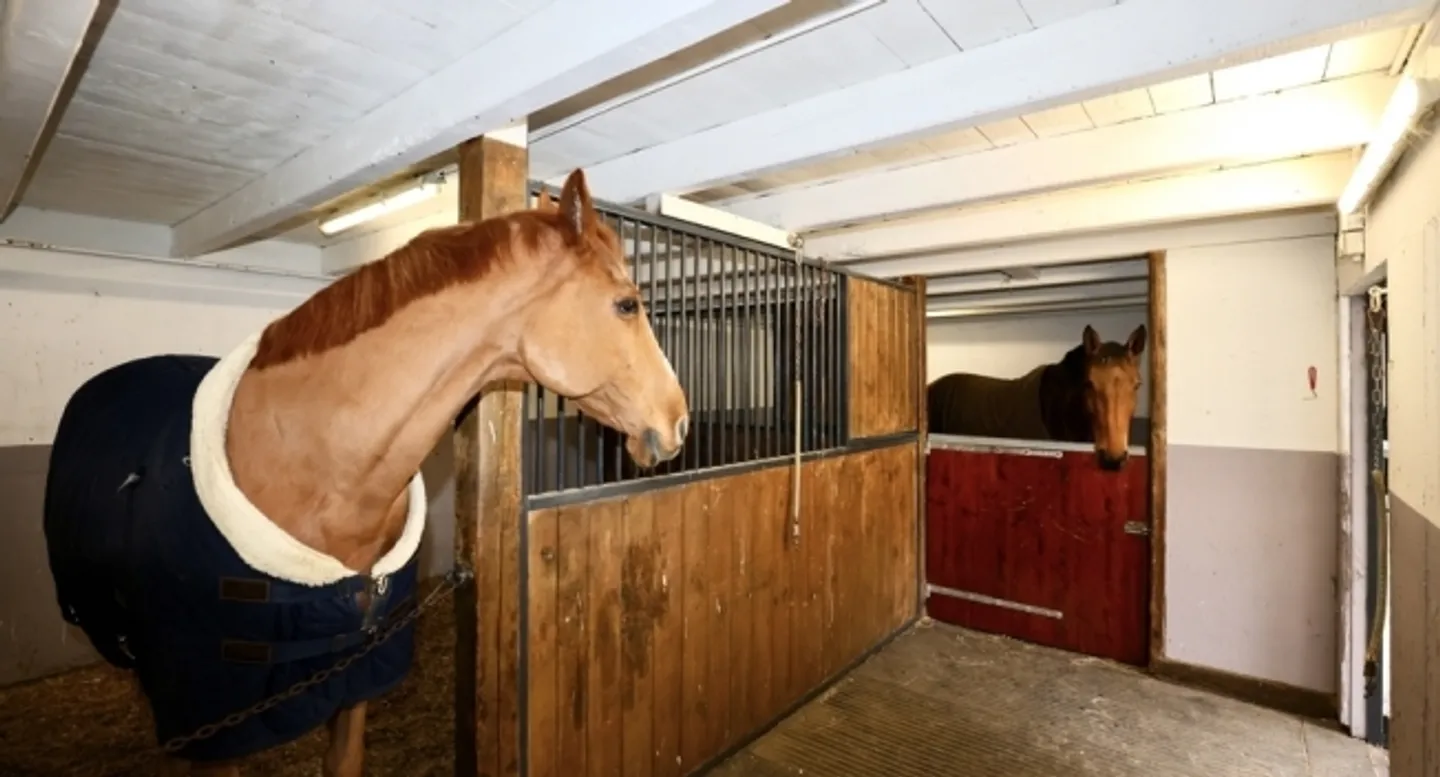 Equestrian estate with hotel-restaurant and staff apartment - Photo 17 of 18