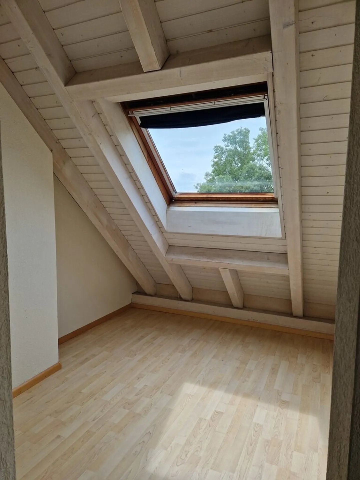 Living in the Attic - Photo 3 of 6