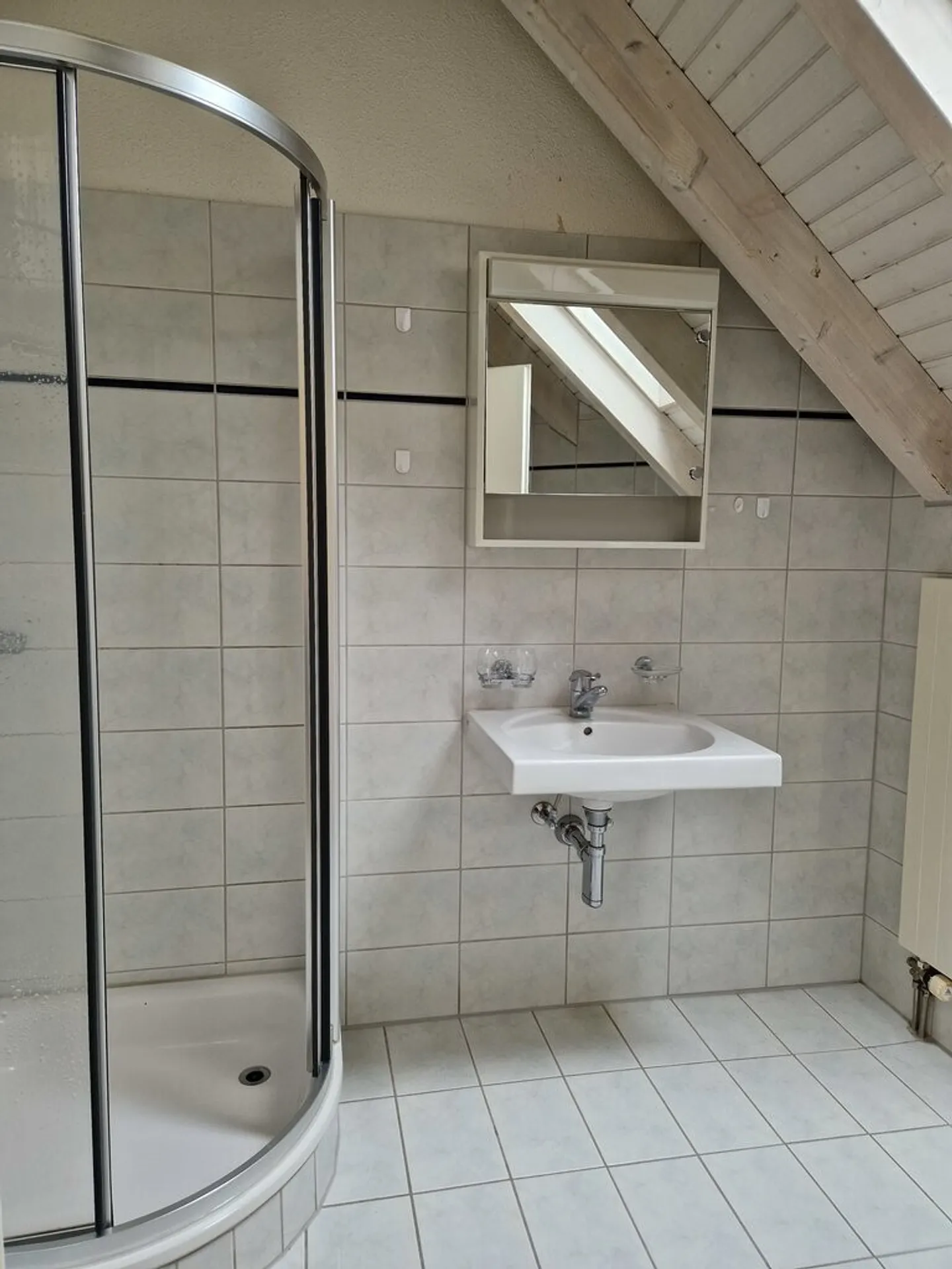 Living in the Attic - Photo 6 of 6