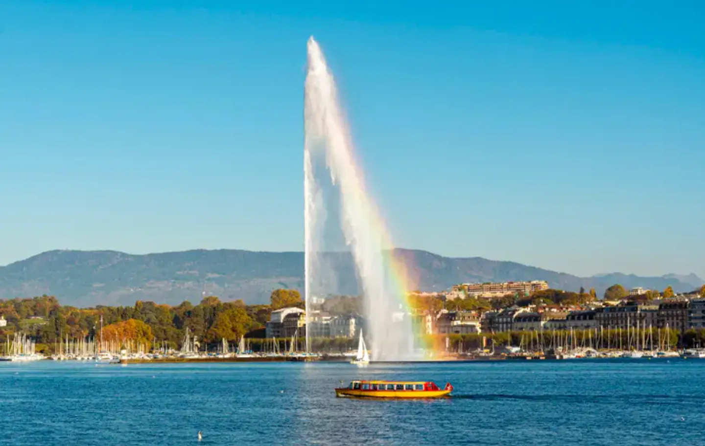 Apartment - Photo 2 of 3