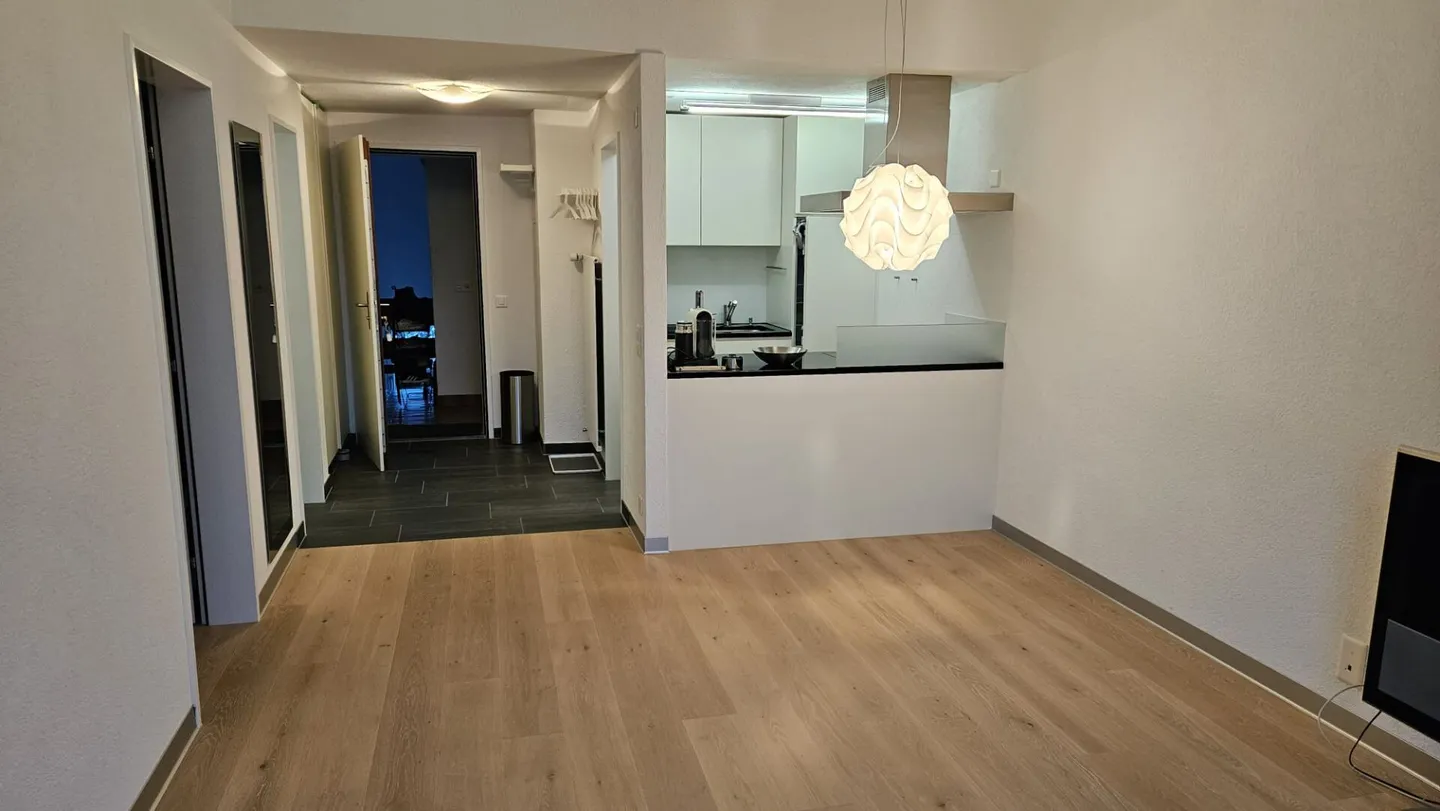 Everest sunny 2.5 room penthouse apartment for long-term rent (no seasonal rental) - Photo 1 of 12