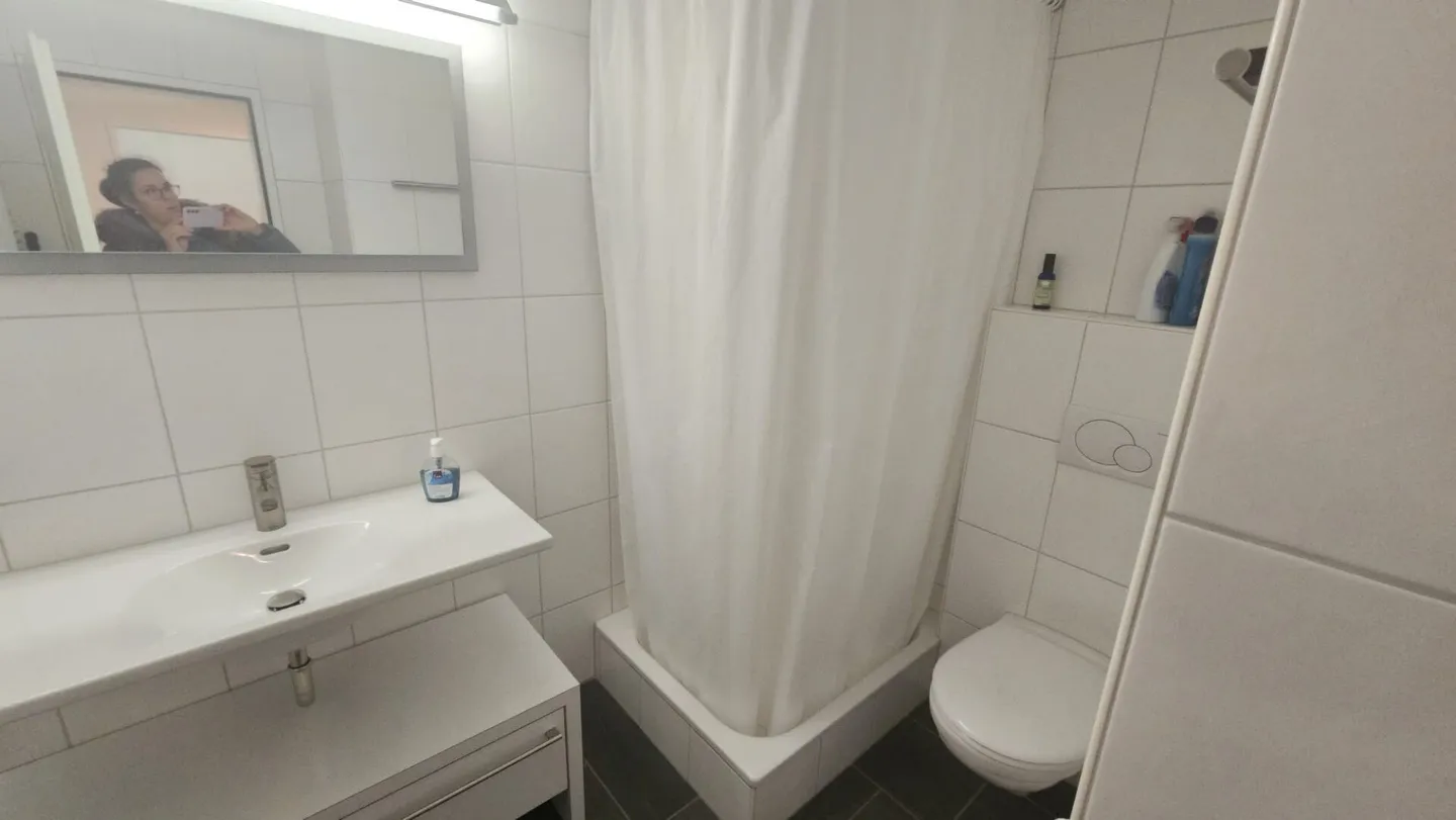 Everest sunny 2.5 room penthouse apartment for long-term rent (no seasonal rental) - Photo 6 of 12