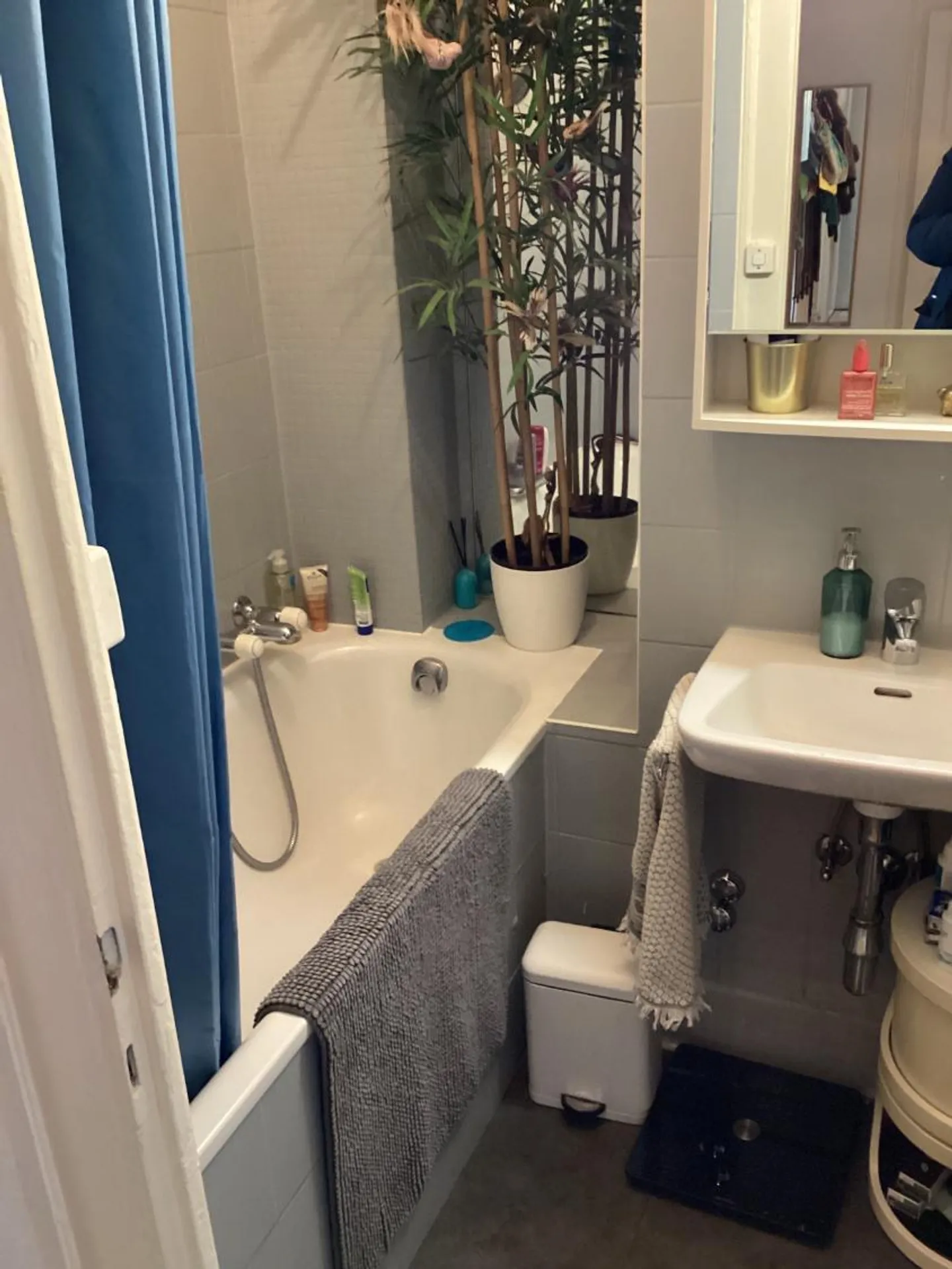 Wunderschöne Wohnung ideal im Herzen von Eaux-Vives gelegen - Foto 3 von 4