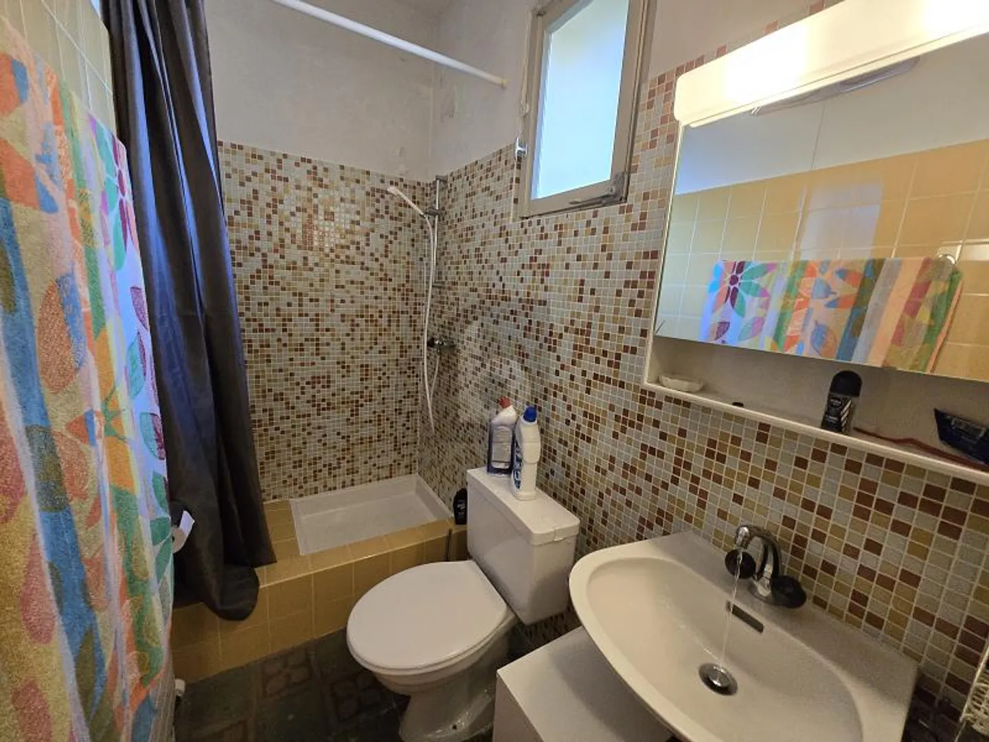 Appartement avec jardin à Roveredo - Photo 3 sur 4
