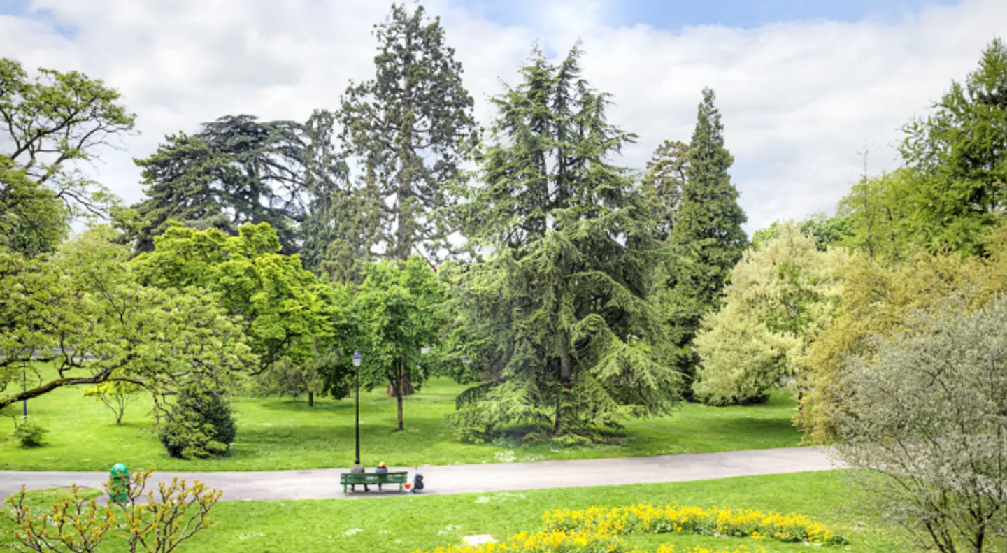 6-room apartment - Photo 1 of 1