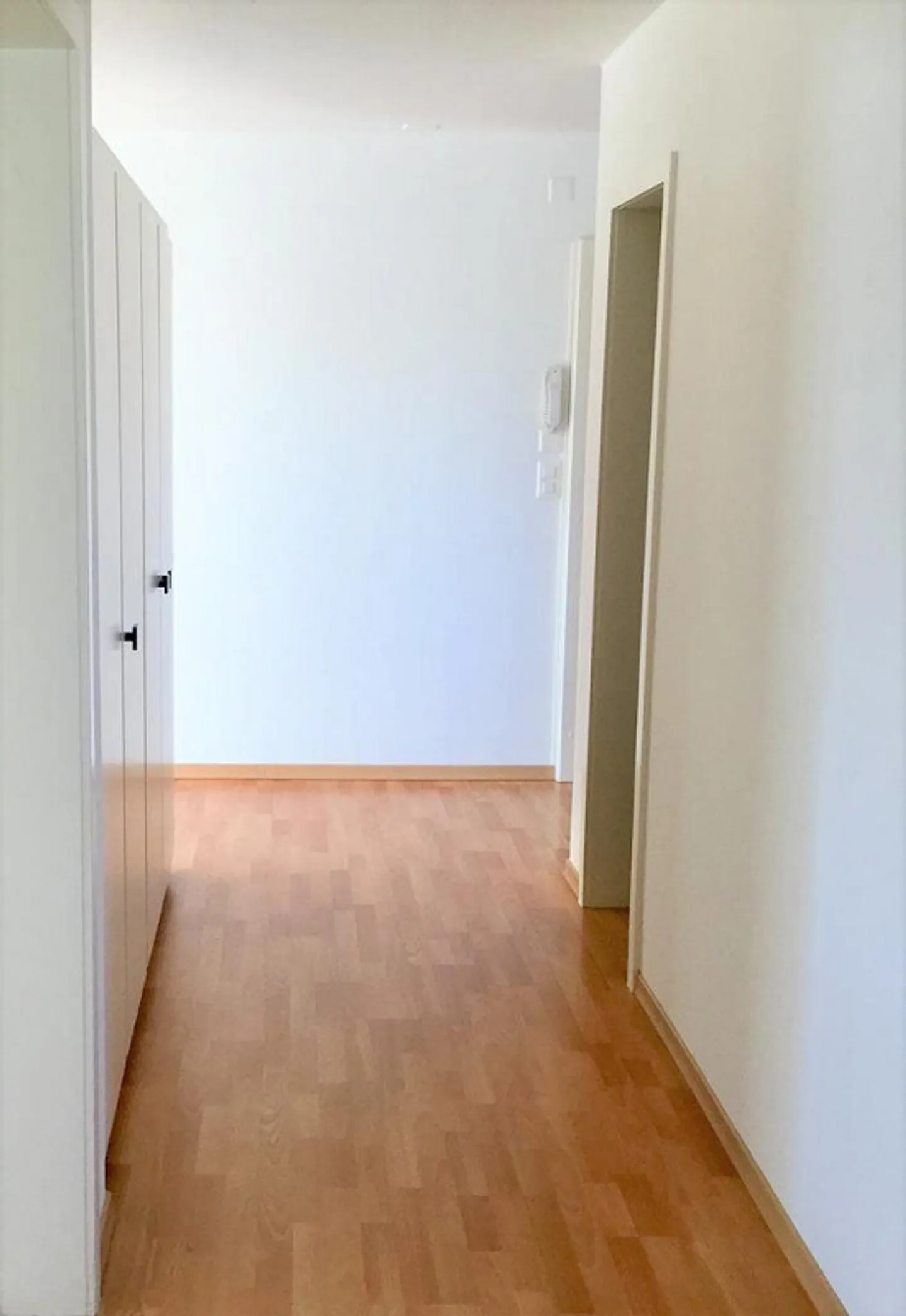 Visita: Lunedì 6 luglio 2026 dalle 17:45 alle 18:30 - Foto 7 di 9