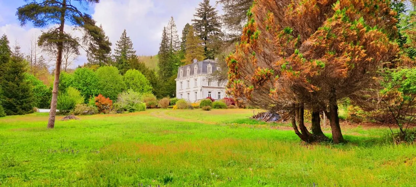 Become the guardian of a jewel: a castle in the Vosges and its enchanted park - Photo 13 of 13