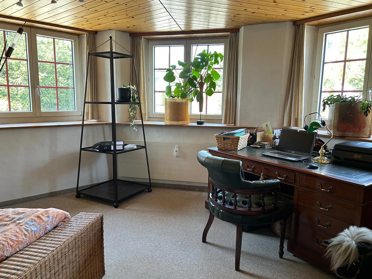 Moderne Wohnung in Ruhiger Lage - Foto 11 von 13