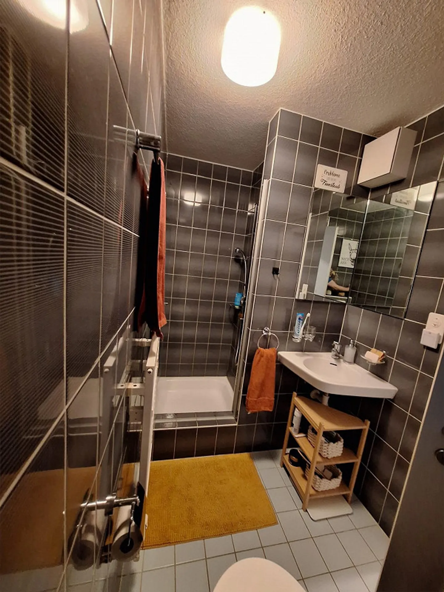 Belle appartement de jardin meublé de 4,5 pièces au pied de l'Uetliberg - Photo 6 sur 11