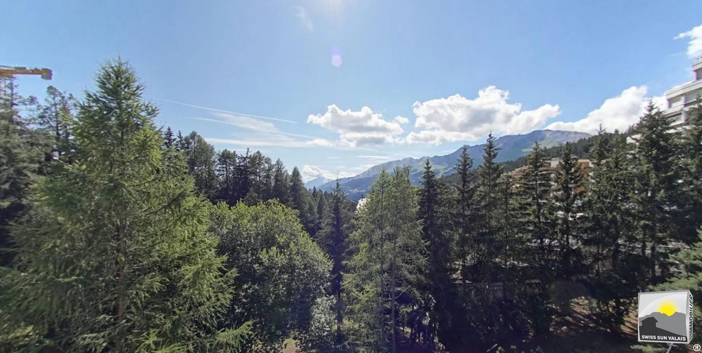 GIÀ VENDUTO . 1° RETE IMMOBILIARE DEL VALAIS ® - Foto 21 di 21