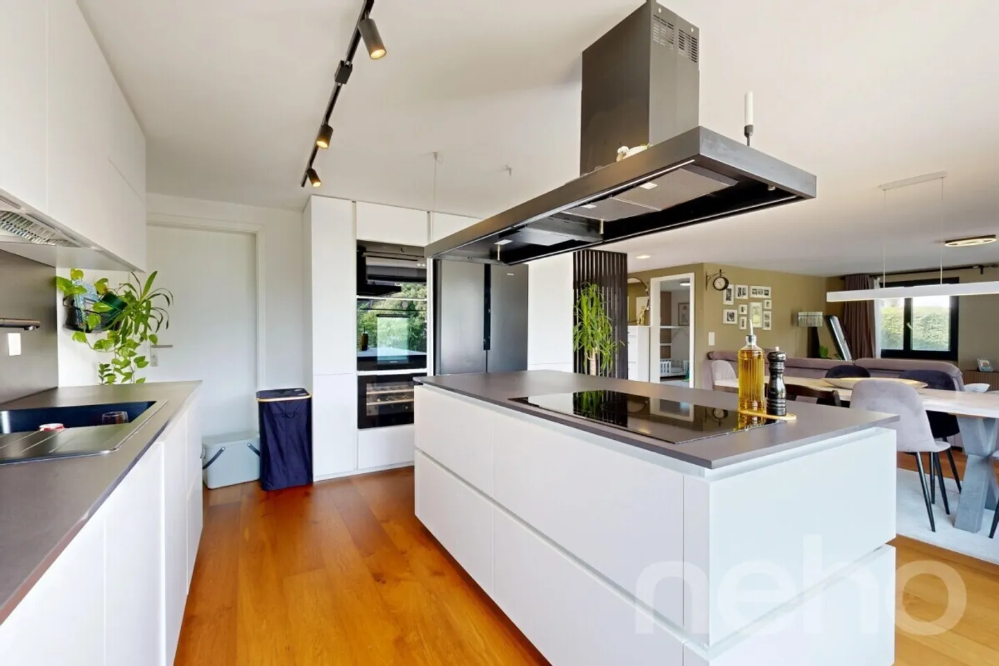 Modernized Single-Family Home with Designer Kitchen and Conservatory - Photo 5 of 12