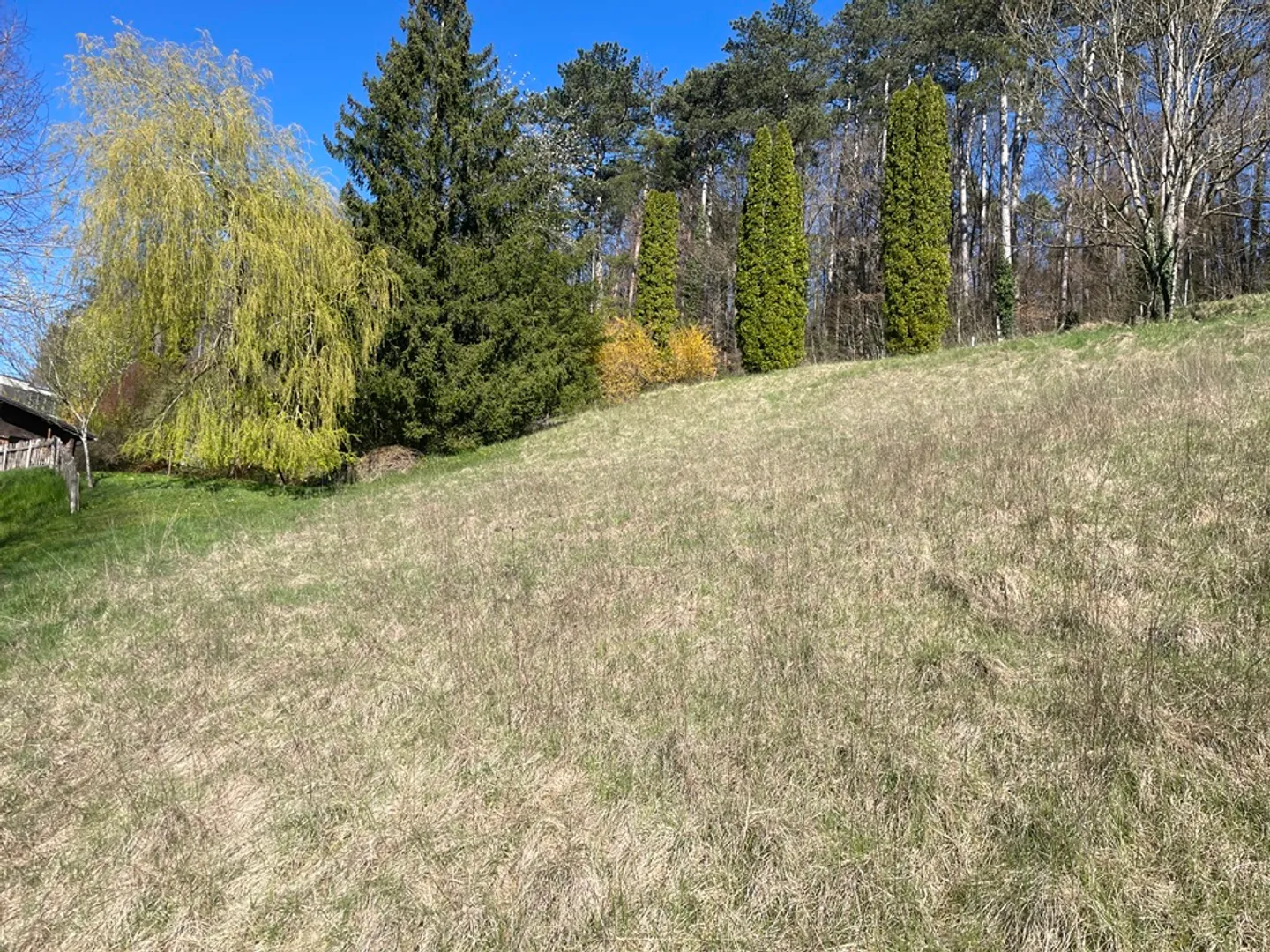 Building Plot, Porrentruy - 455000 - Photo 3 of 4
