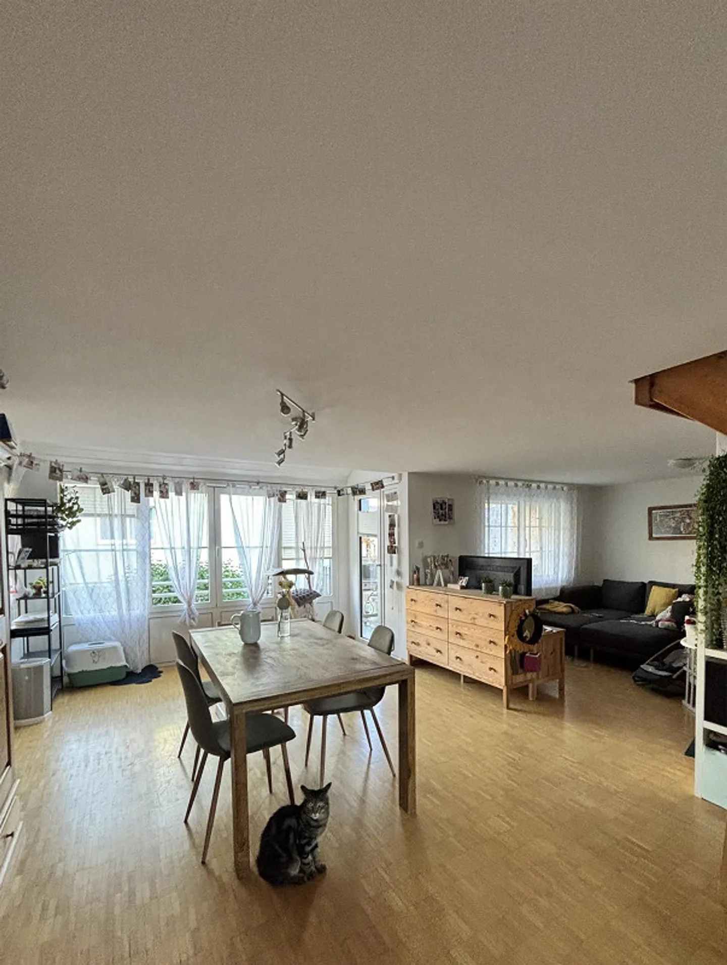 Charming 3.5 Room Apartment - Photo 2 of 11