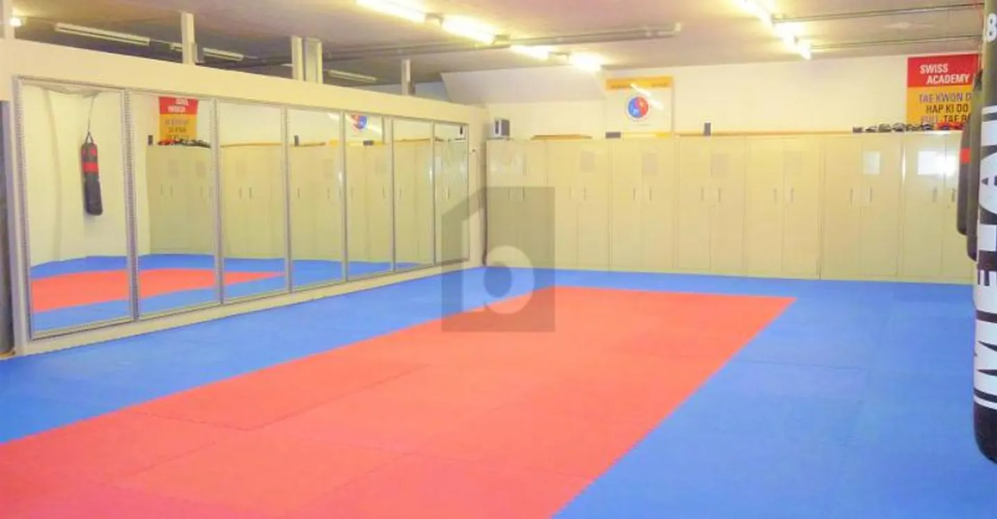 Salle de Sport Multifonctions - Photo 2 sur 6