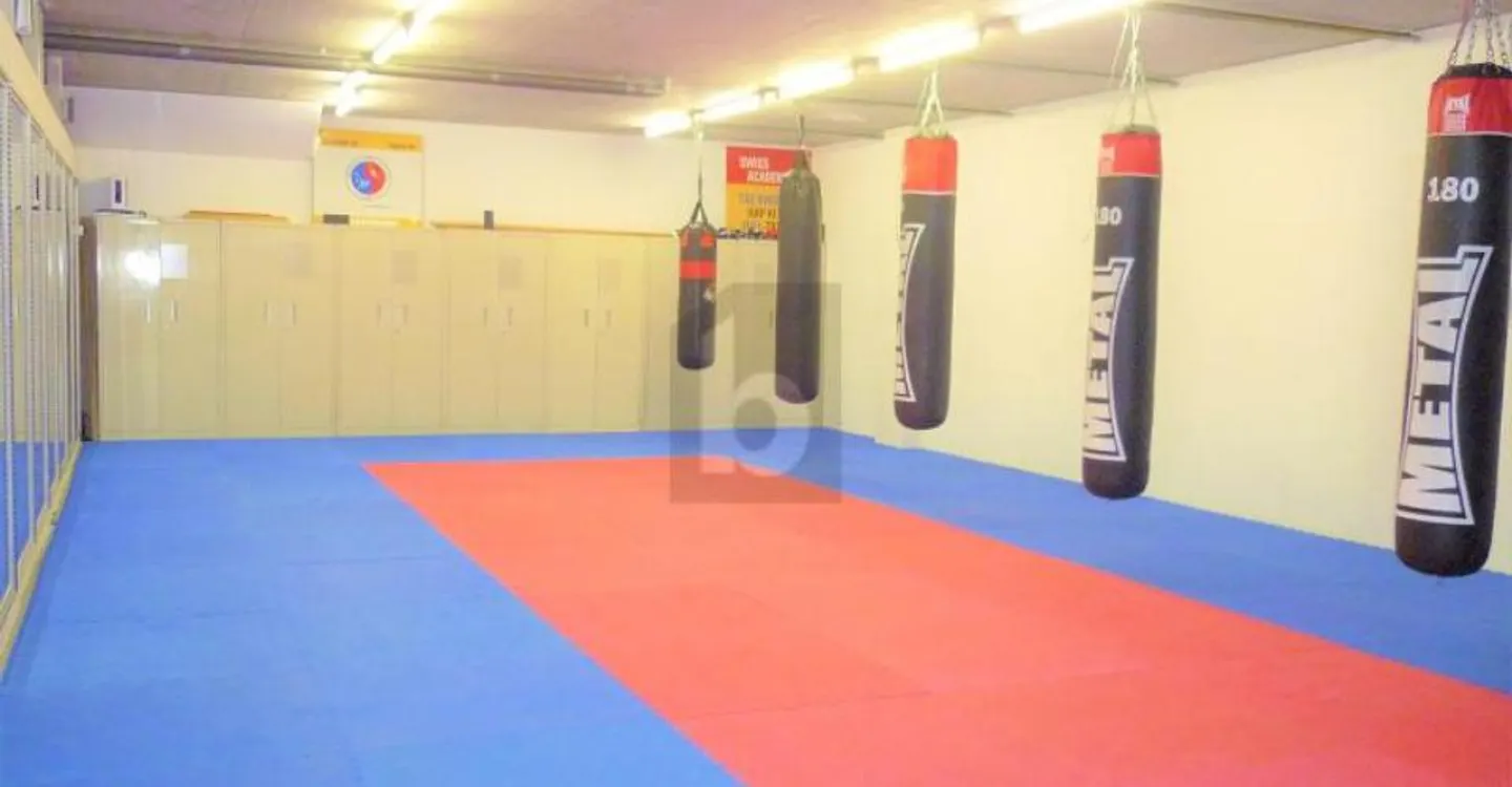 Salle de Sport Multifonctions - Photo 3 sur 6