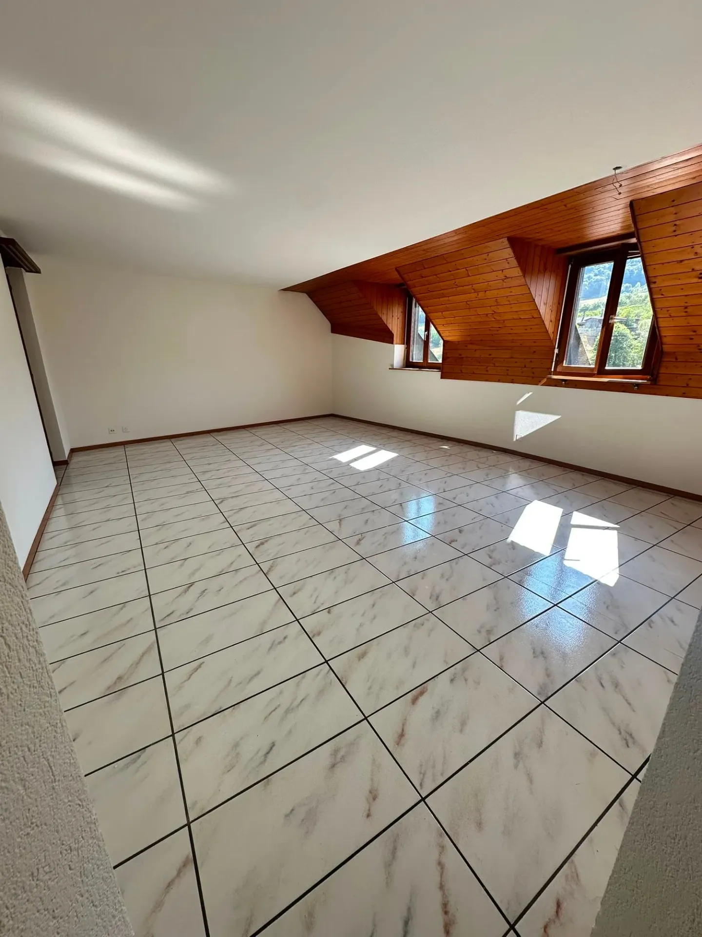 Charming 4.5 Room Apartment with Large Veranda - Available Immediately! - Photo 3 of 17
