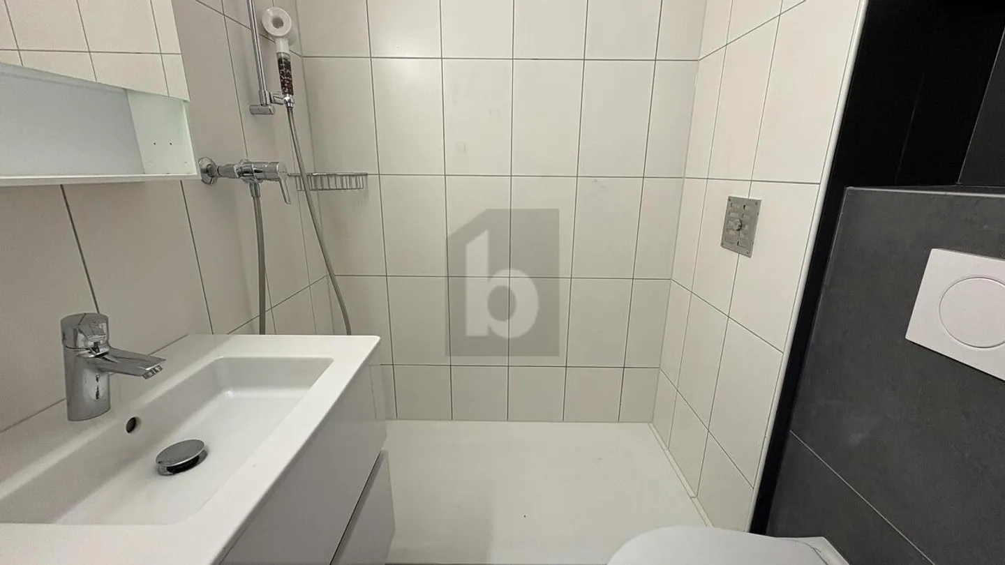 Appartement Charmant Rénové - Photo 3 sur 5