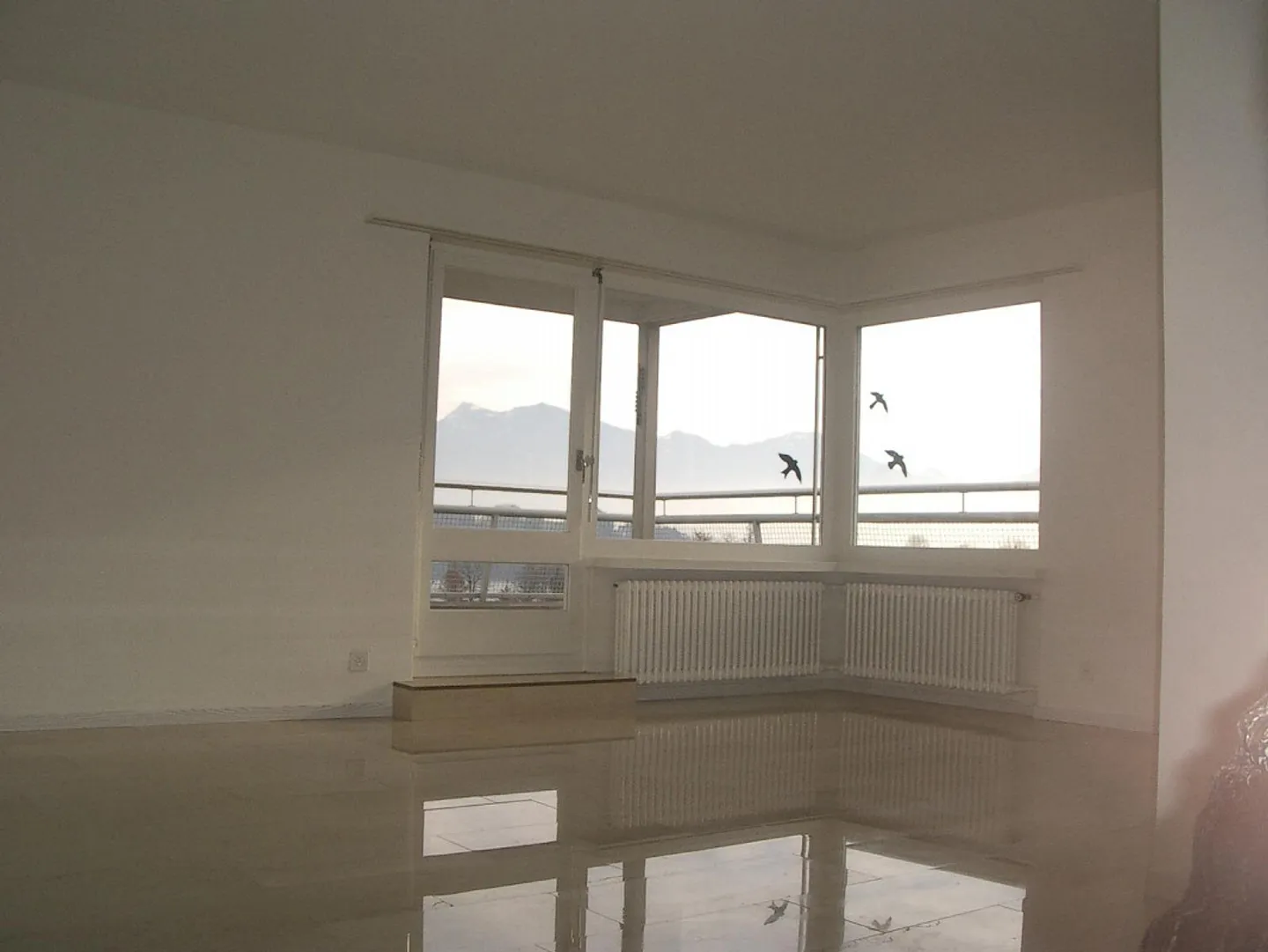 In the popular Hirtenhof district - Photo 4 of 14