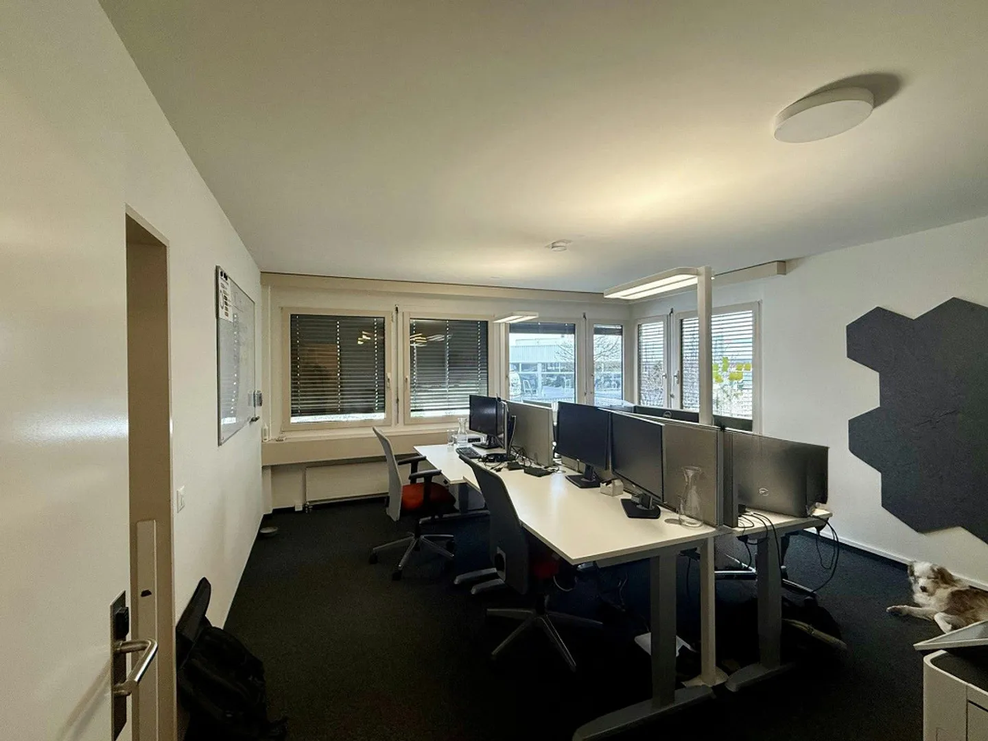 Ufficio pronto per essere abitato nel quartiere Grüze di Winterthur - Foto 6 di 9