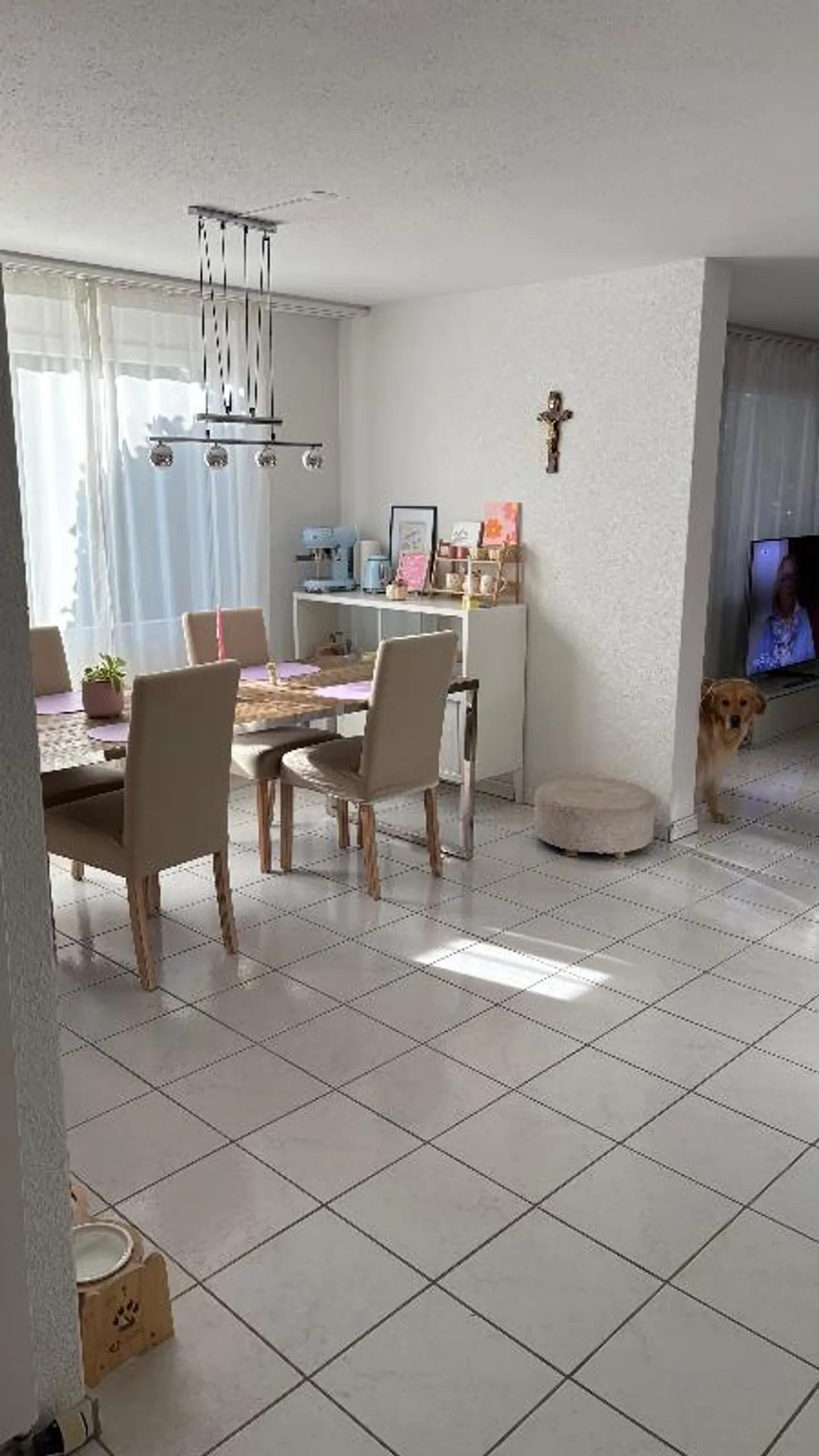 3.5 Room Apartment - Photo 1 of 5