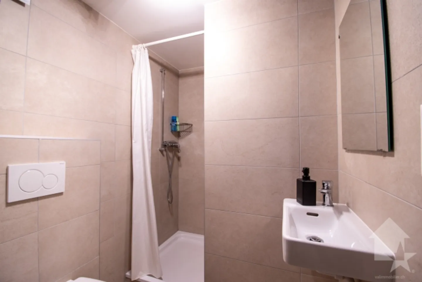 Magnificent villa with two residential units in Le Bouveret - Photo 4 of 13